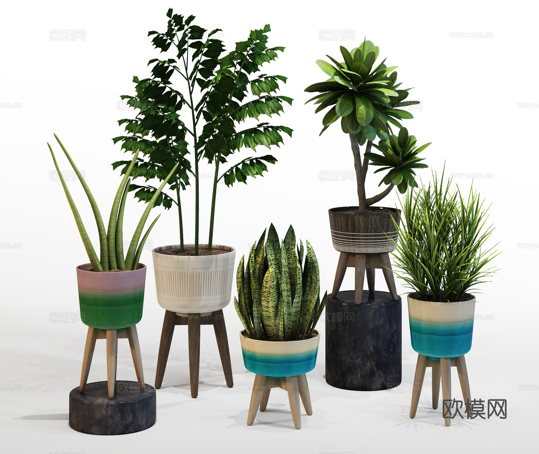 现代室内盆景  绿植盆栽 植物组合3d模型
