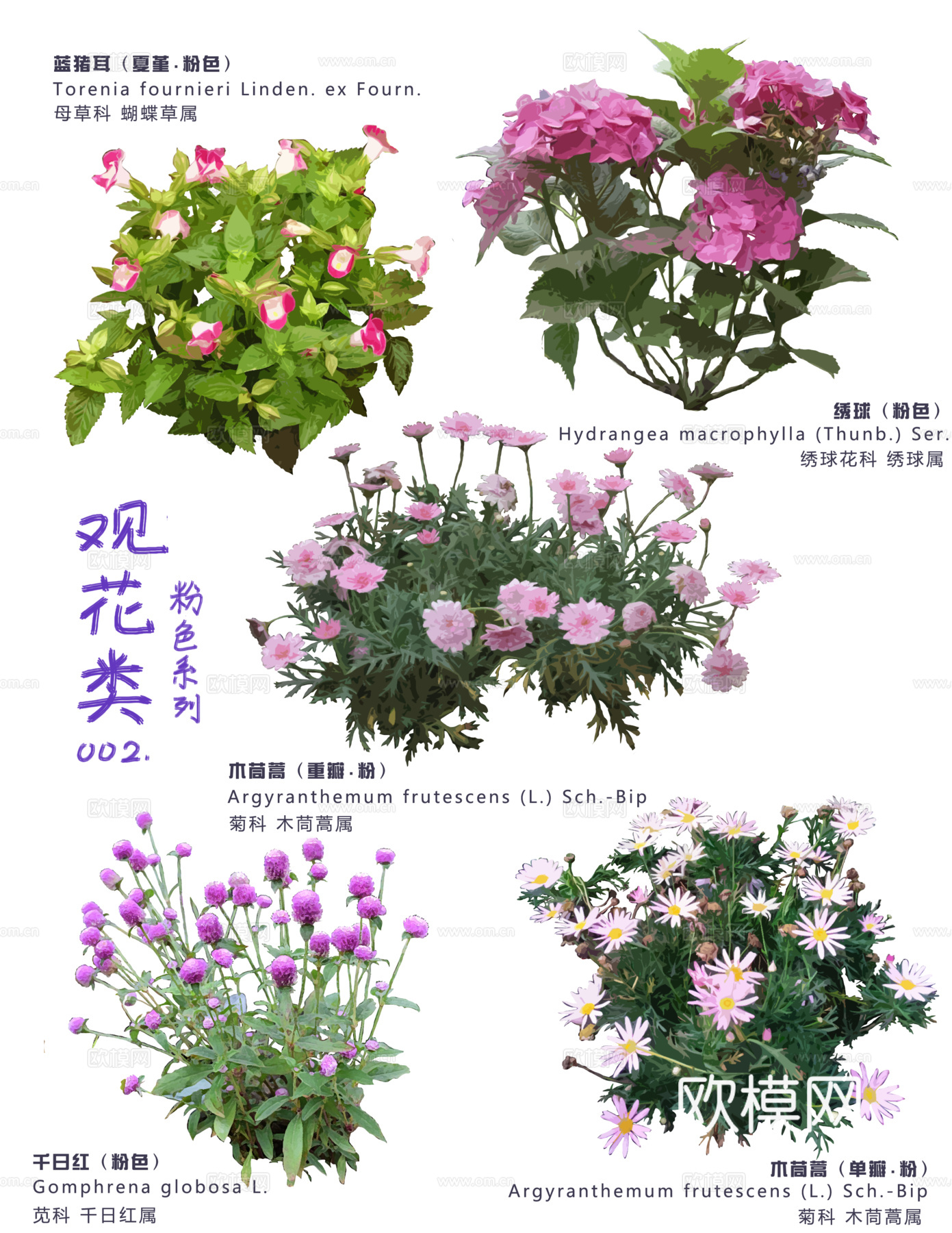 免扣图花草花卉
