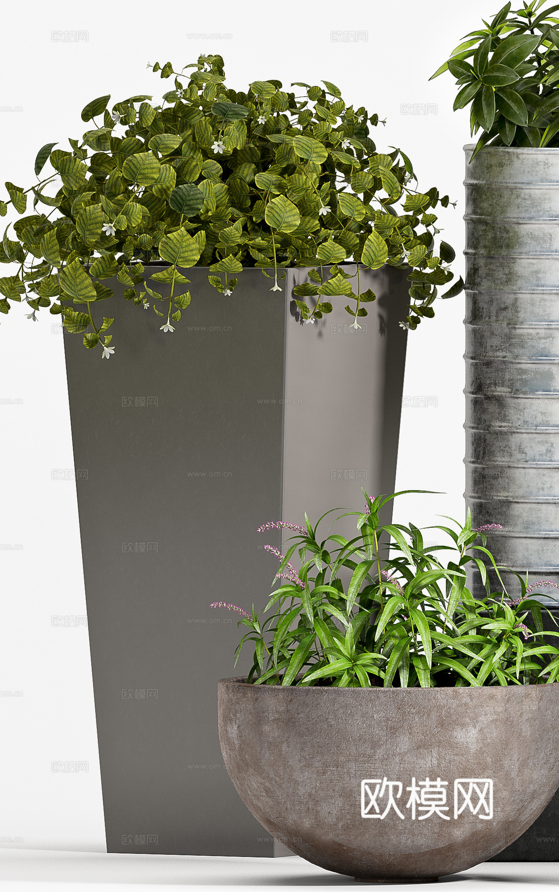 工业风室内盆景  绿植盆栽 植物组合3d模型