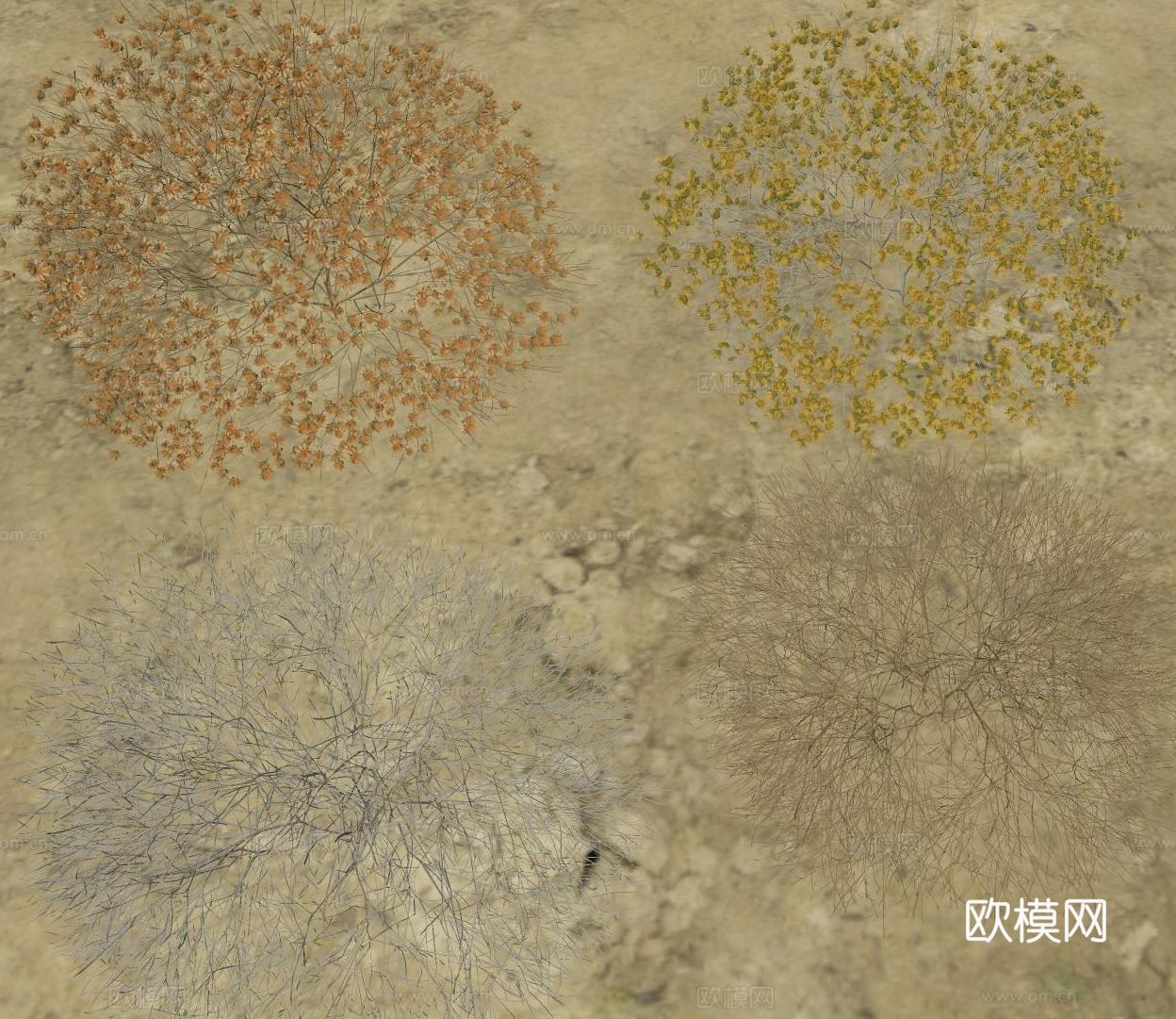 现代侘寂沙漠植物 枯萎植物 沙漠沙地 枯枝干枝 沙漠沙地材su模型
