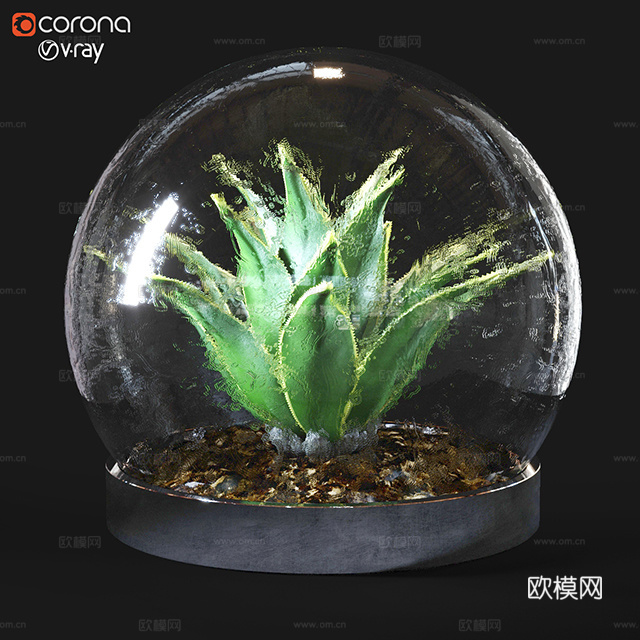 植物 绿植 花盆 盆栽3d模型