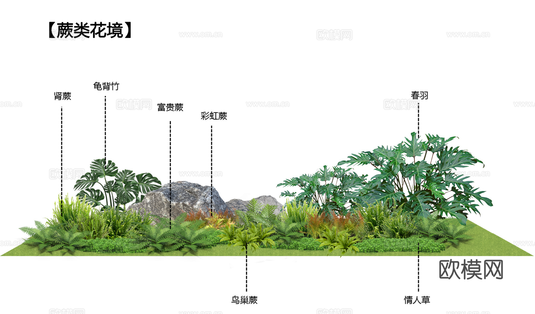 免扣图植物花草花卉花境