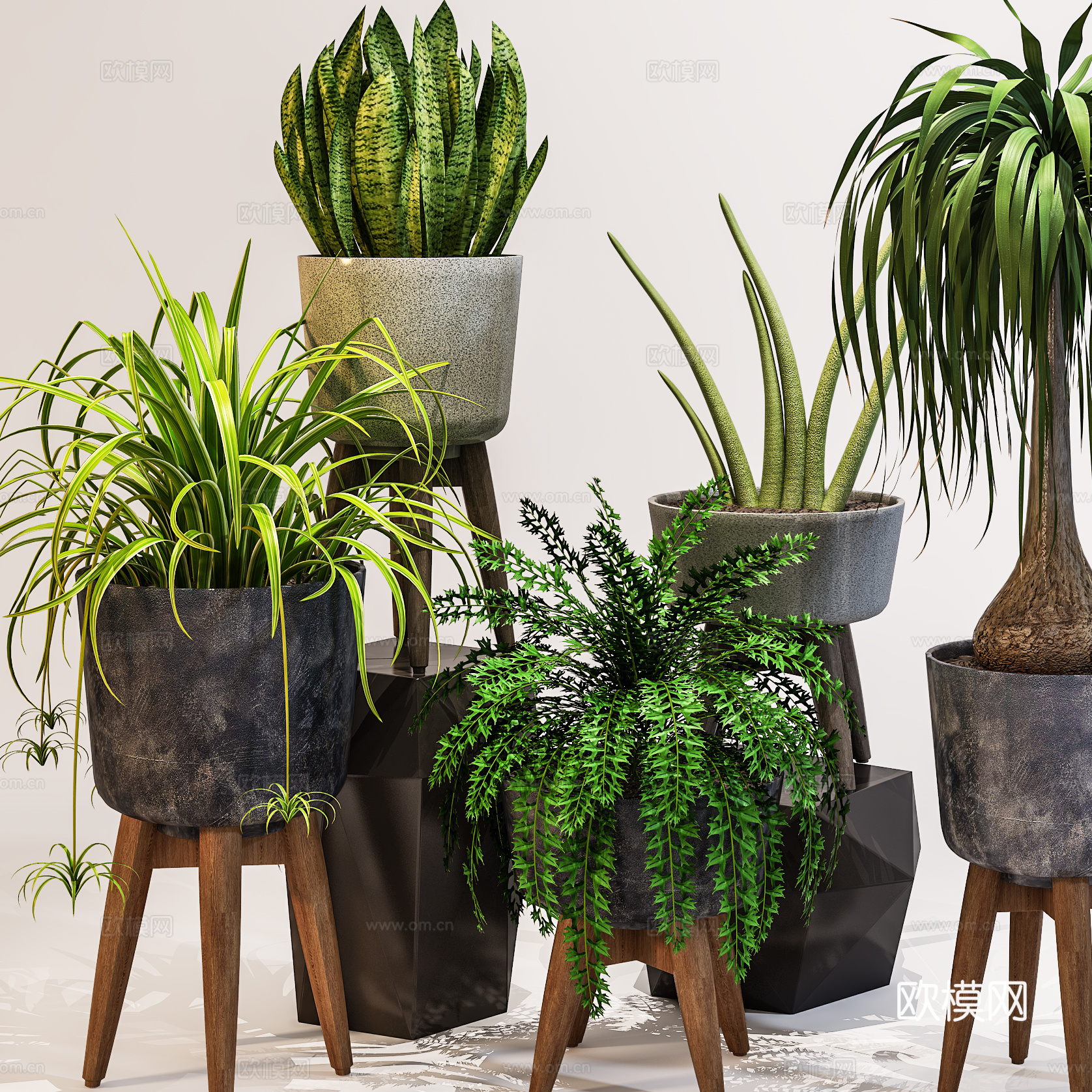 现代室内盆景  绿植盆栽 植物组合3d模型
