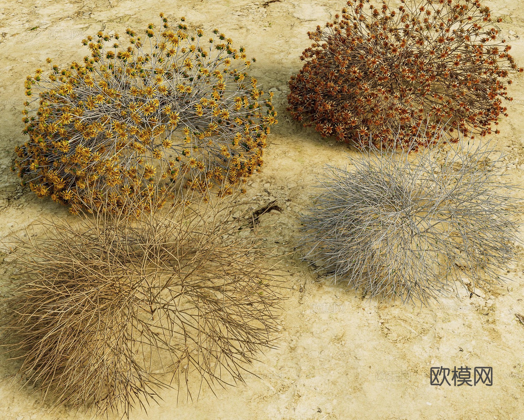 现代侘寂沙漠植物 枯萎植物 沙漠沙地 枯枝干枝 沙漠沙地材3d模型
