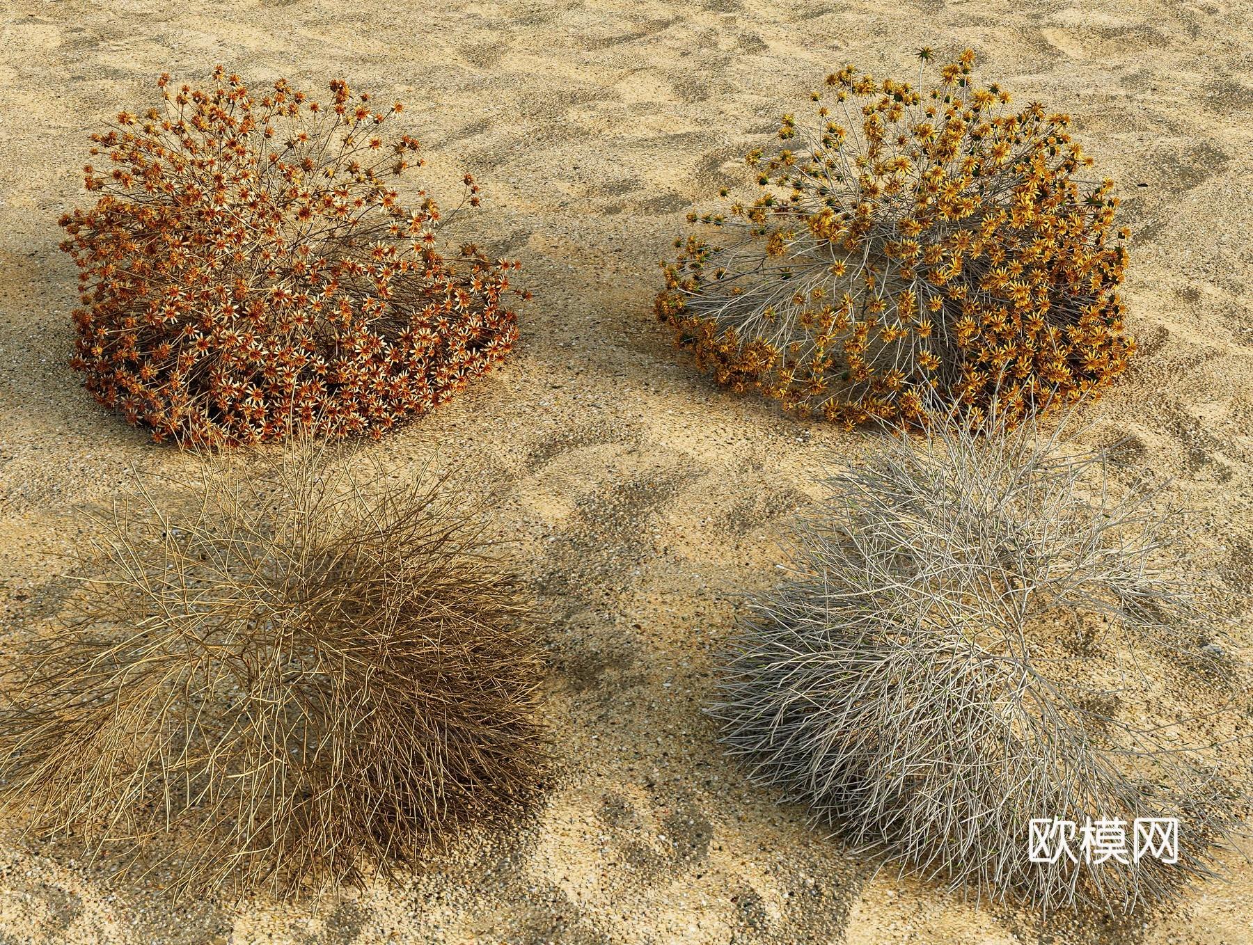 现代侘寂沙漠植物 枯萎植物 沙漠沙地 枯枝干枝 沙漠沙地材3d模型