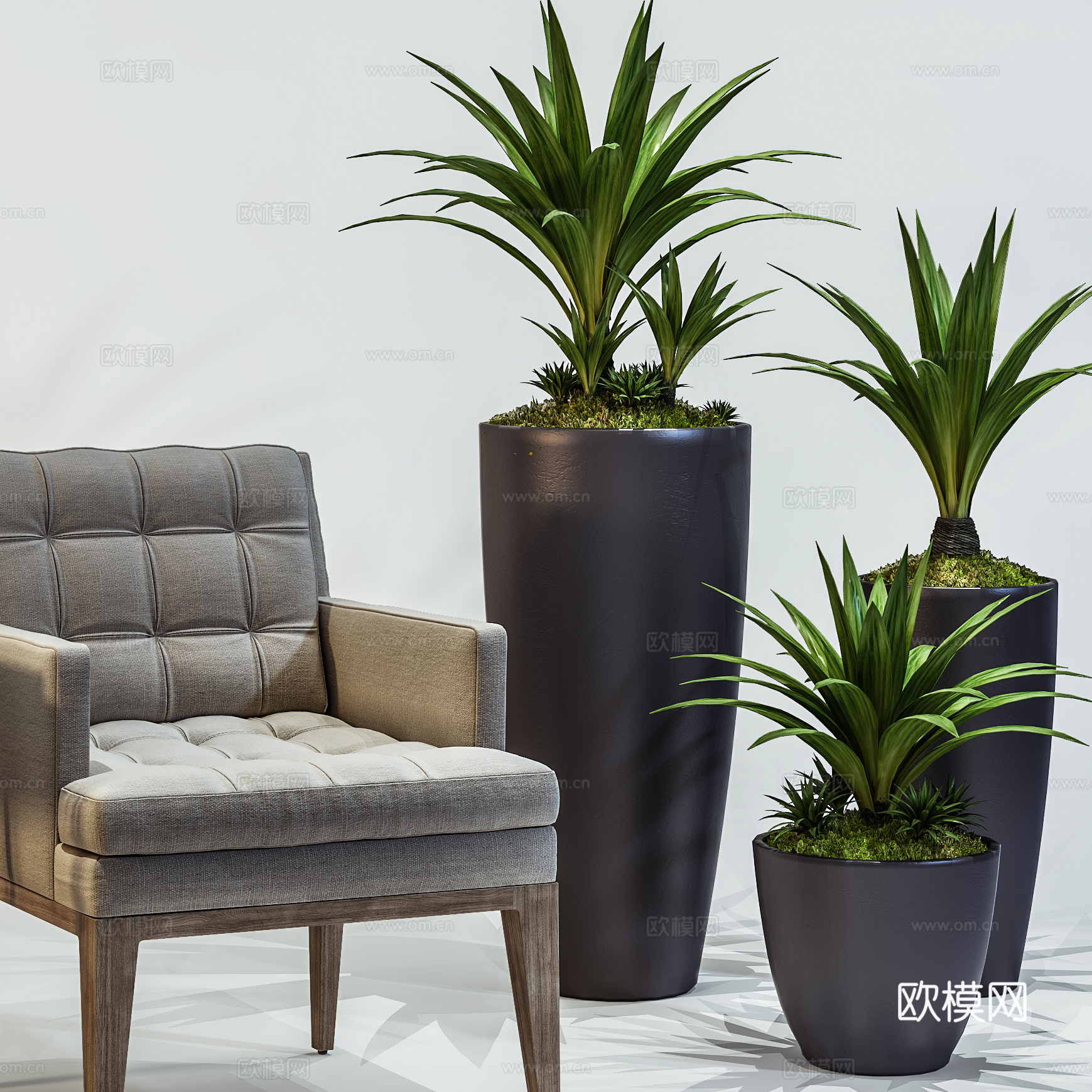 现代单人沙发茶几组合  布艺沙发 绿植组合3d模型