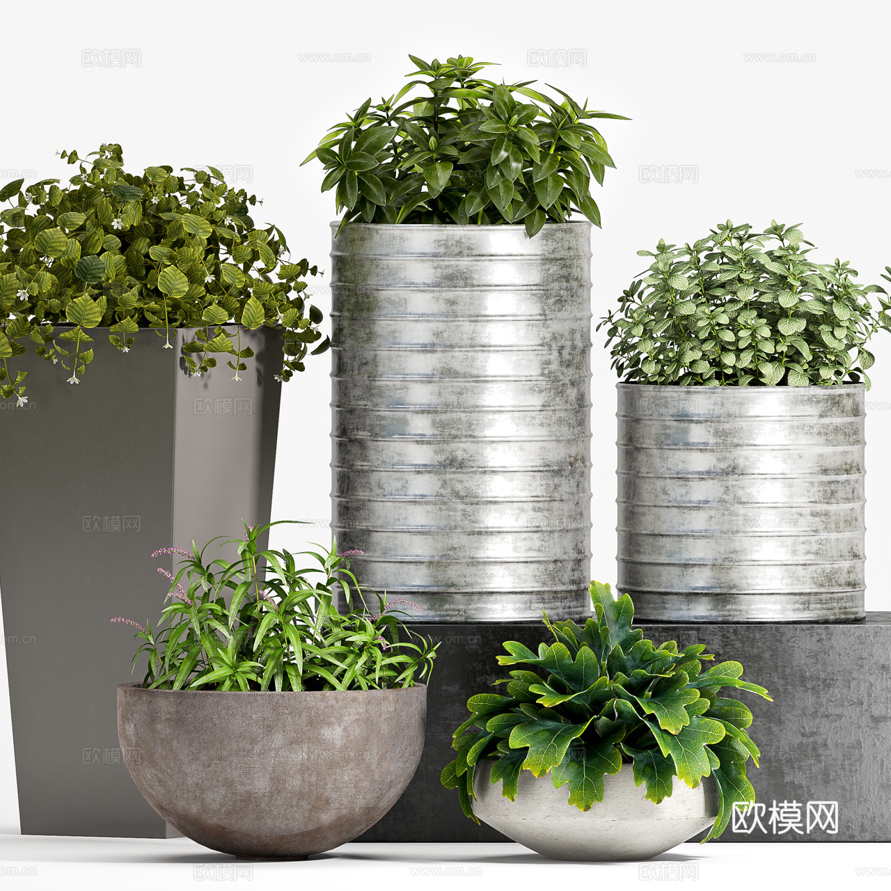 工业风室内盆景  绿植盆栽 植物组合3d模型