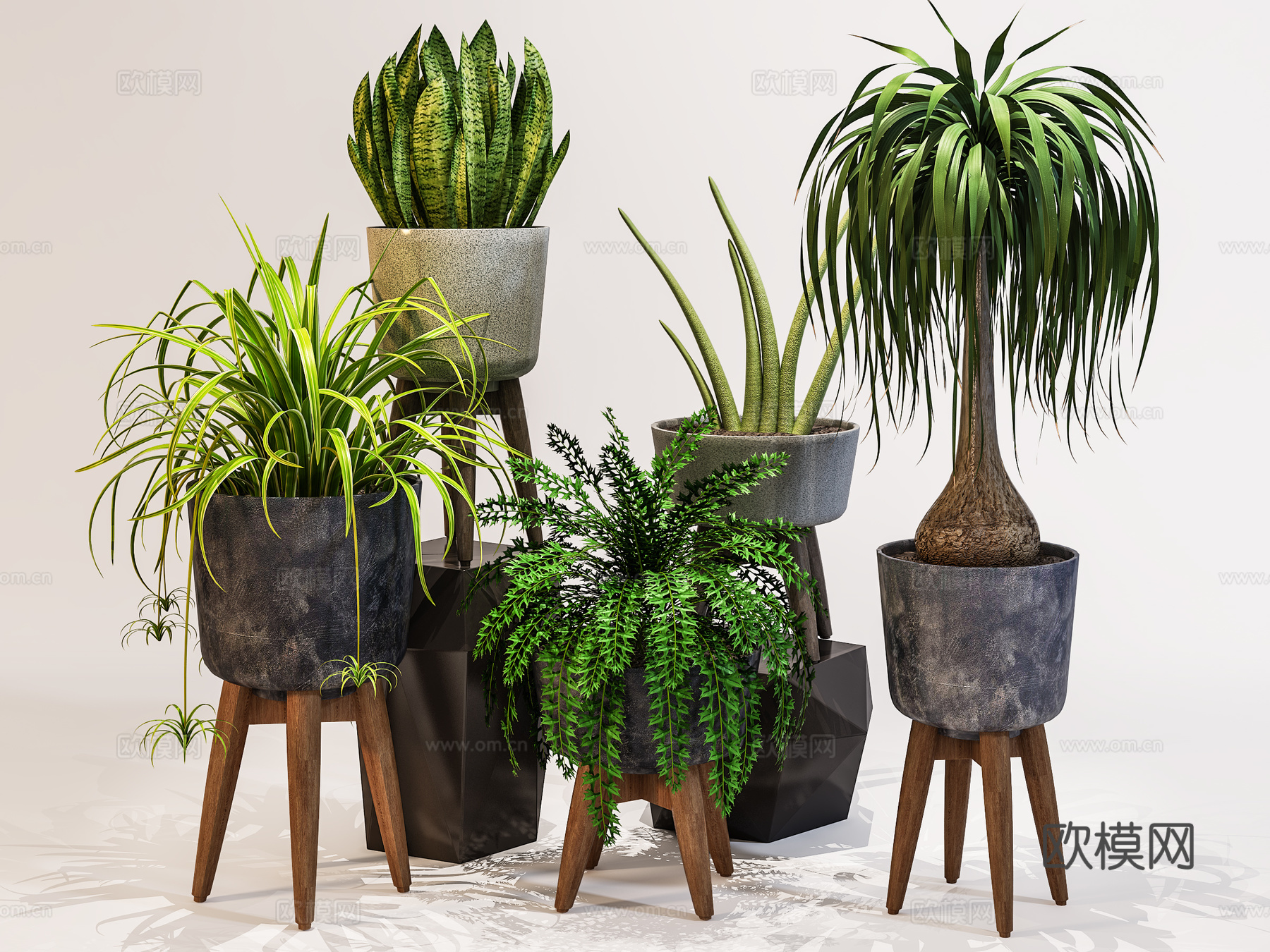 现代室内盆景  绿植盆栽 植物组合3d模型