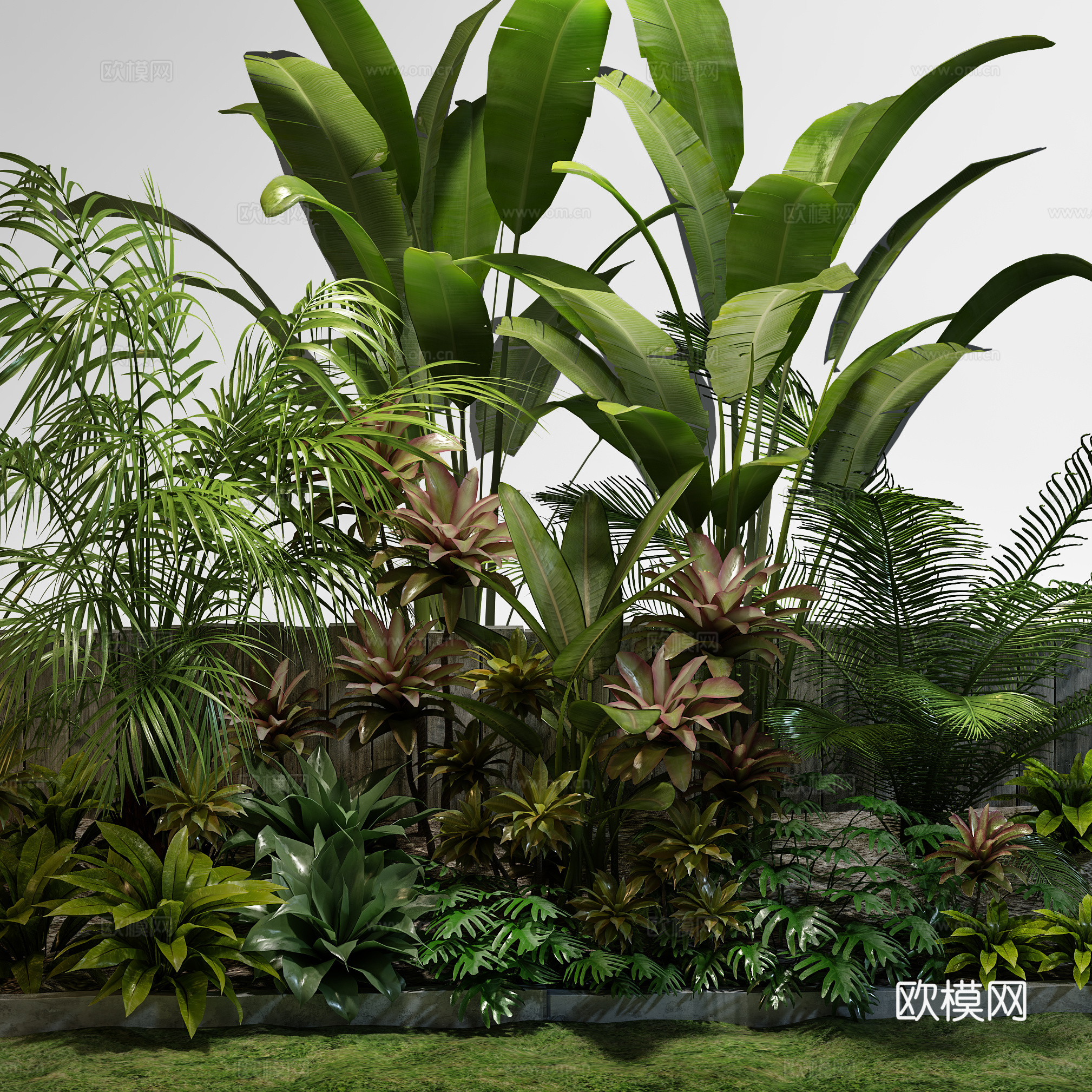 现代植物堆 室外绿植  土培绿植3d模型