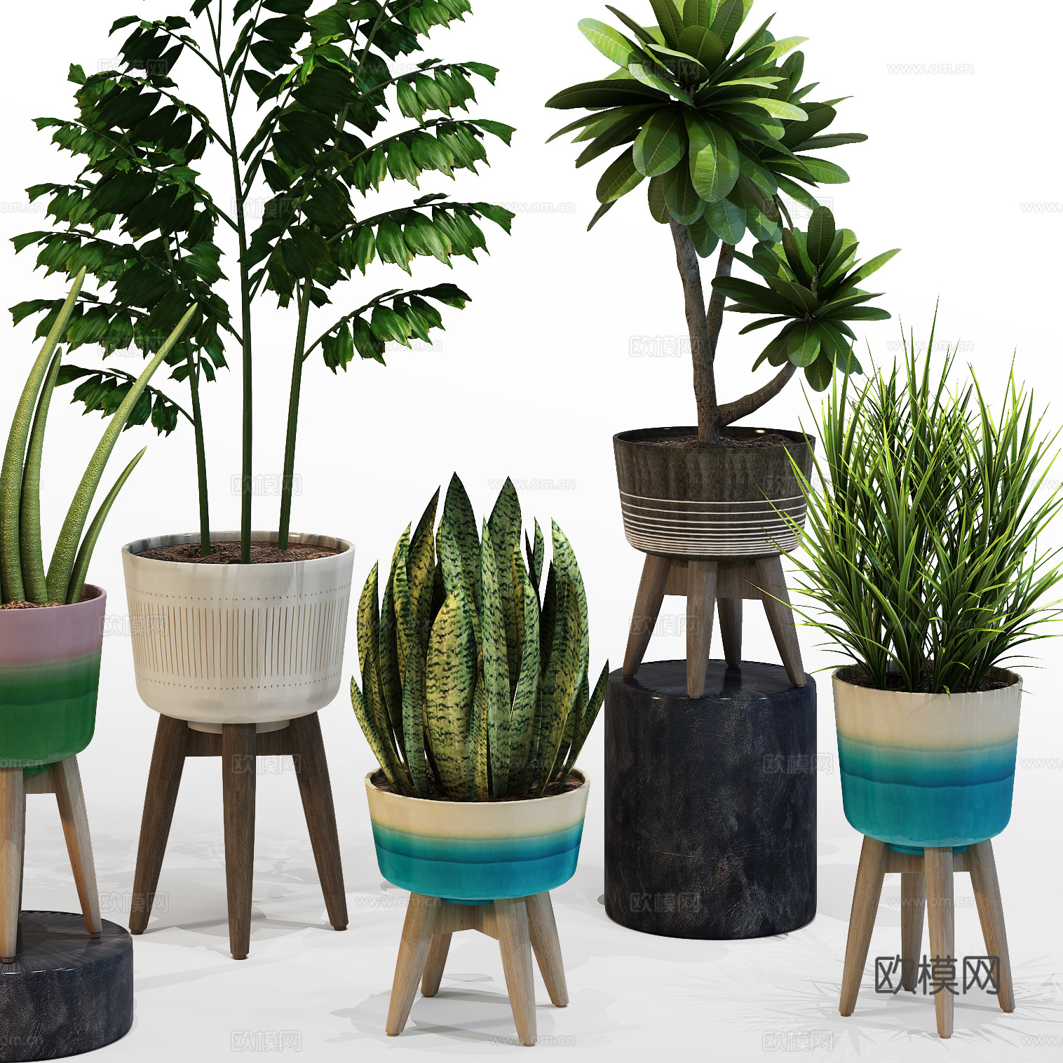 现代室内盆景  绿植盆栽 植物组合3d模型