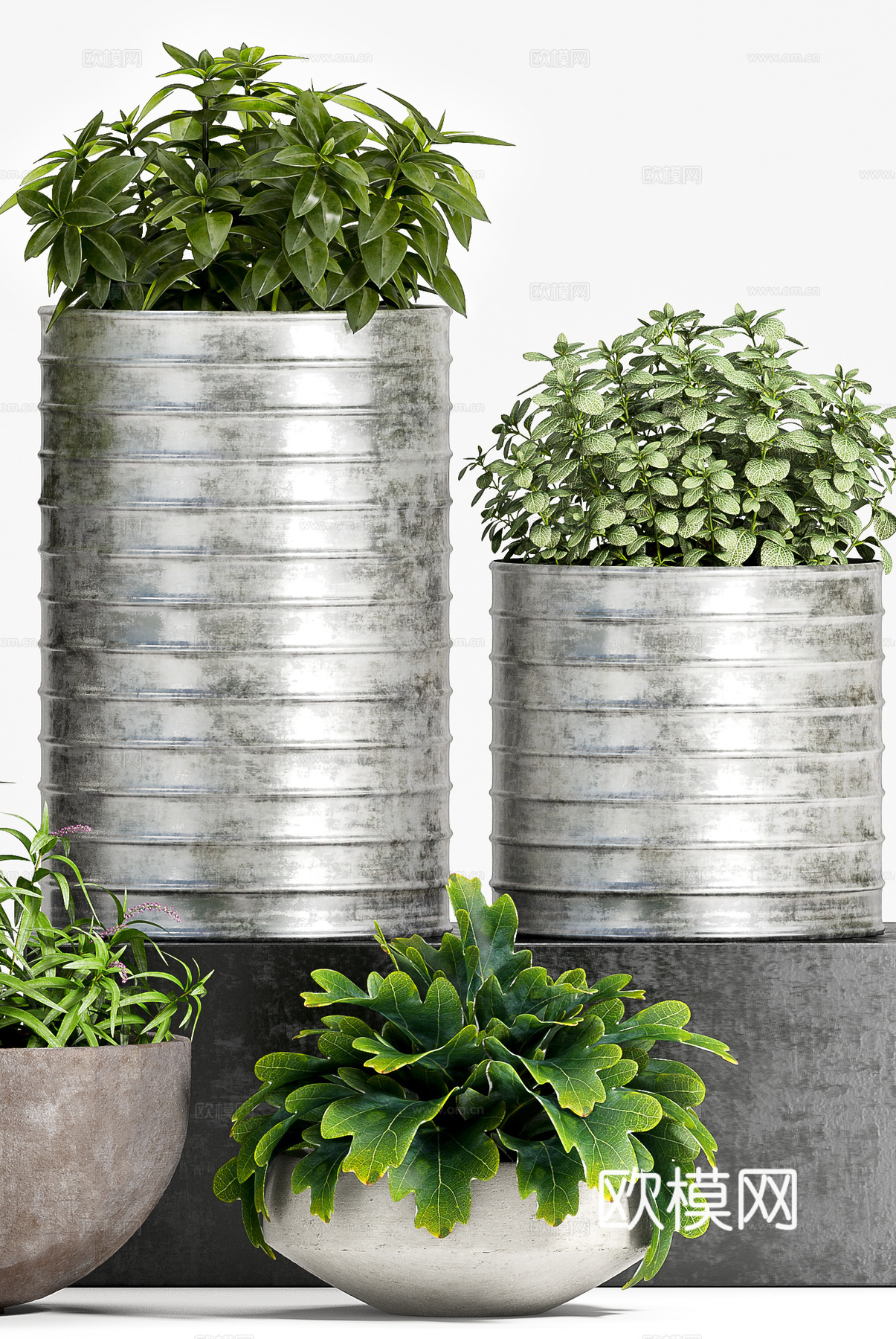 工业风室内盆景  绿植盆栽 植物组合3d模型