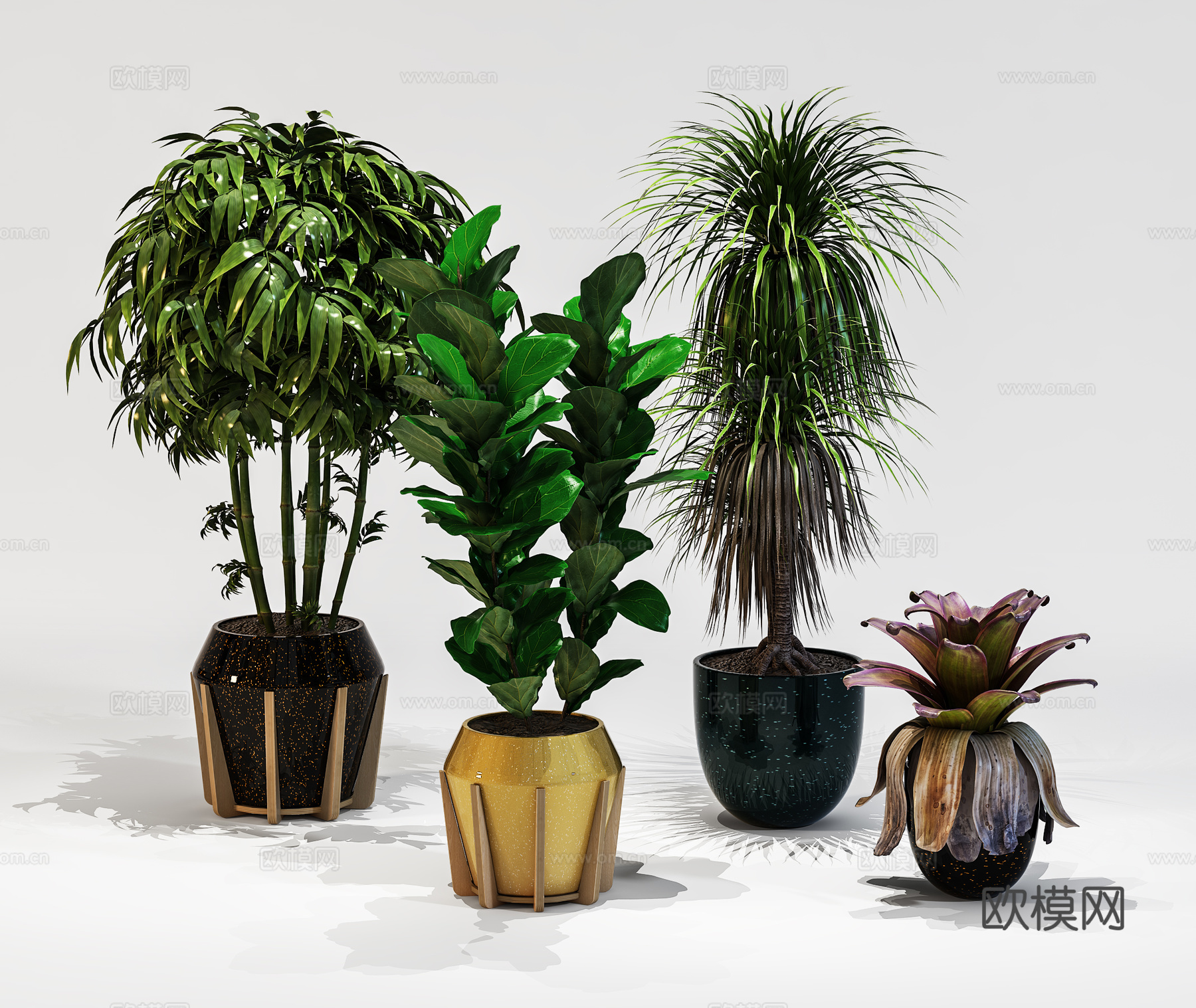 现代室内盆景  绿植盆栽 植物组合3d模型