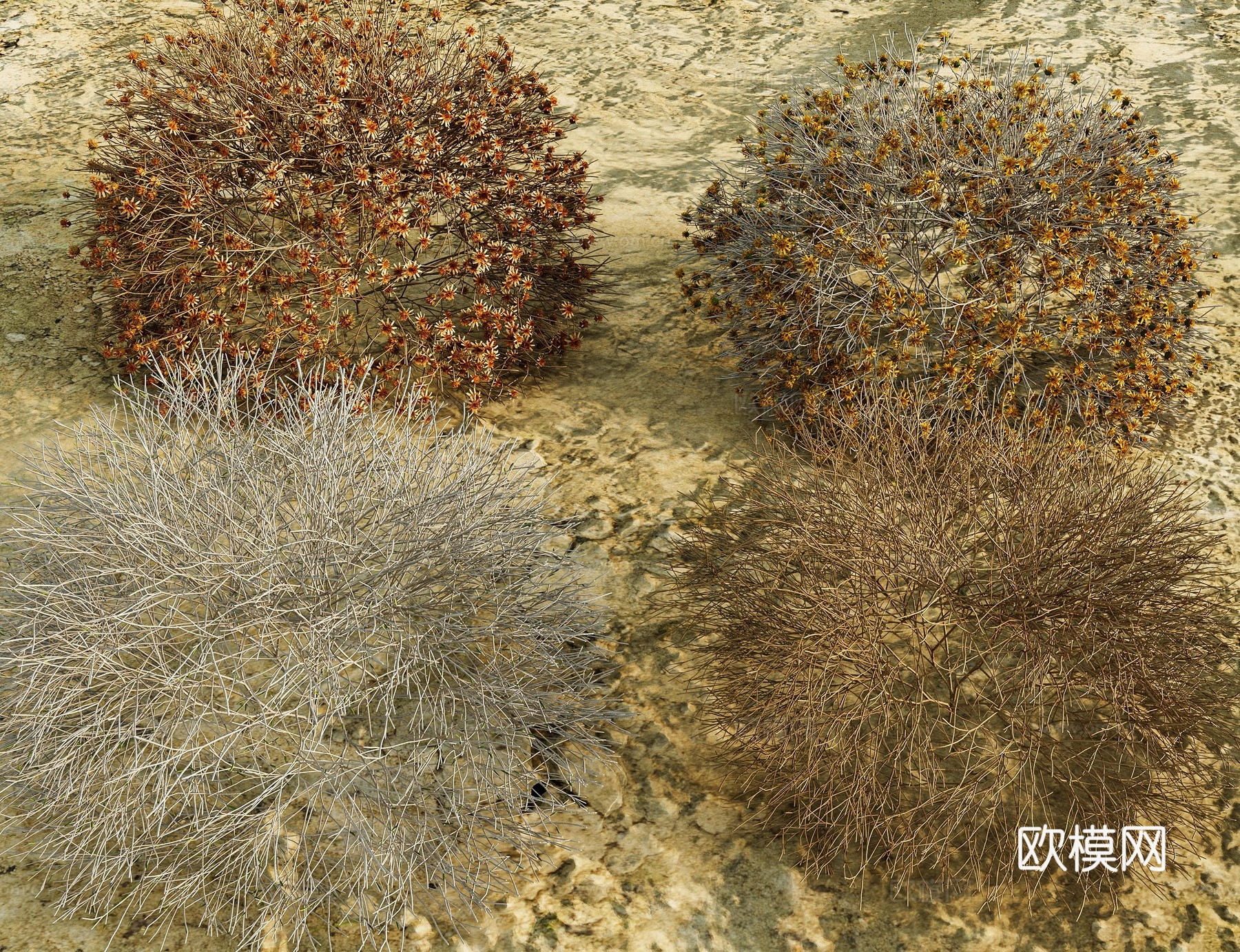 现代侘寂沙漠植物 枯萎植物 沙漠沙地 枯枝干枝 沙漠沙地材3d模型