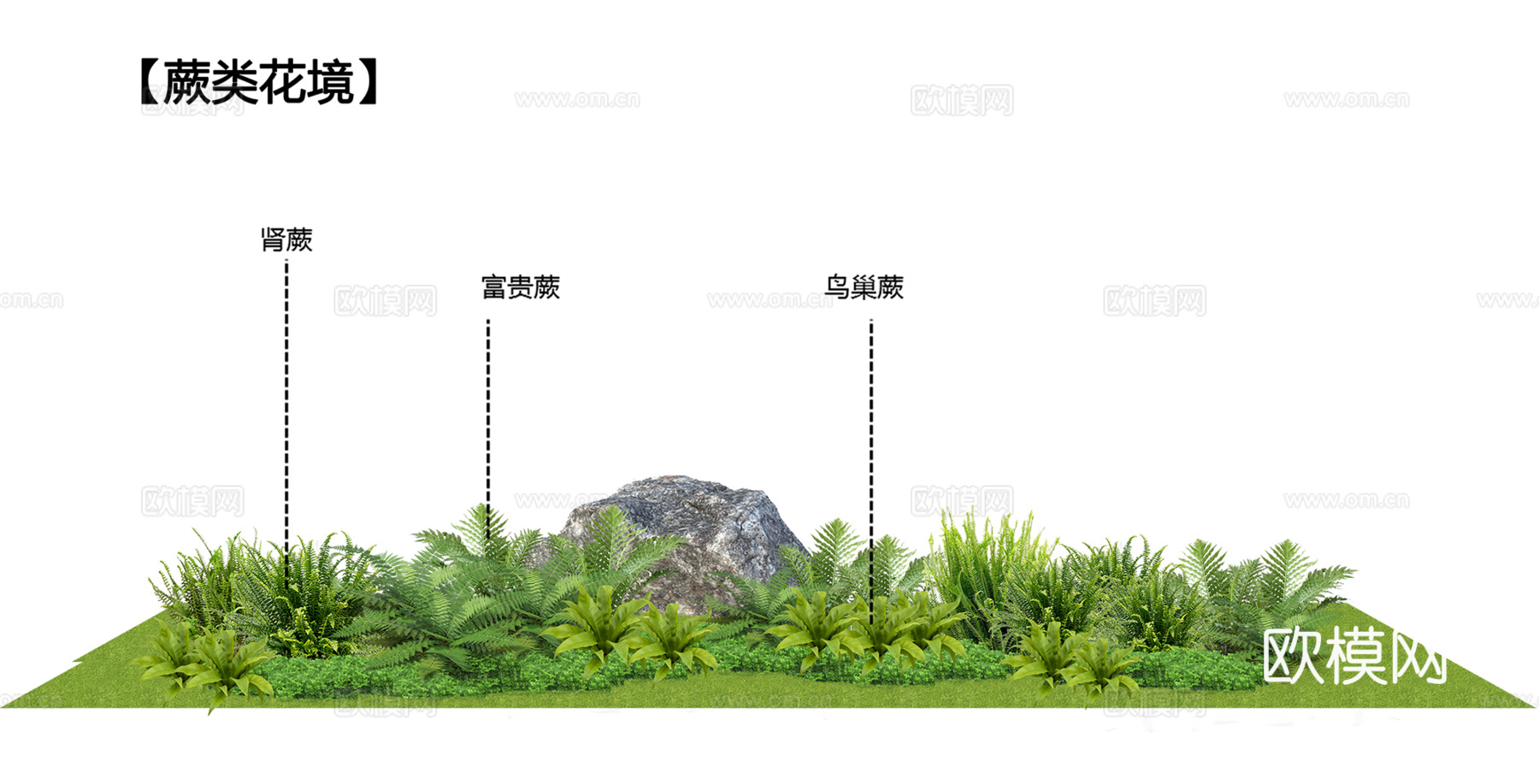 免扣图花境花草