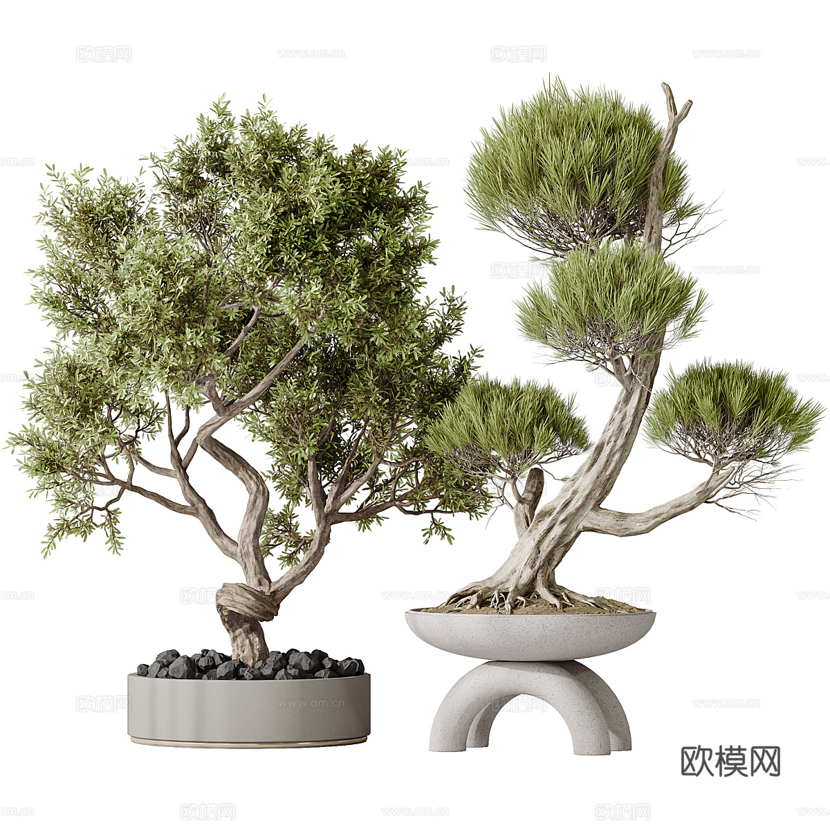 新中式绿植盆景3d模型