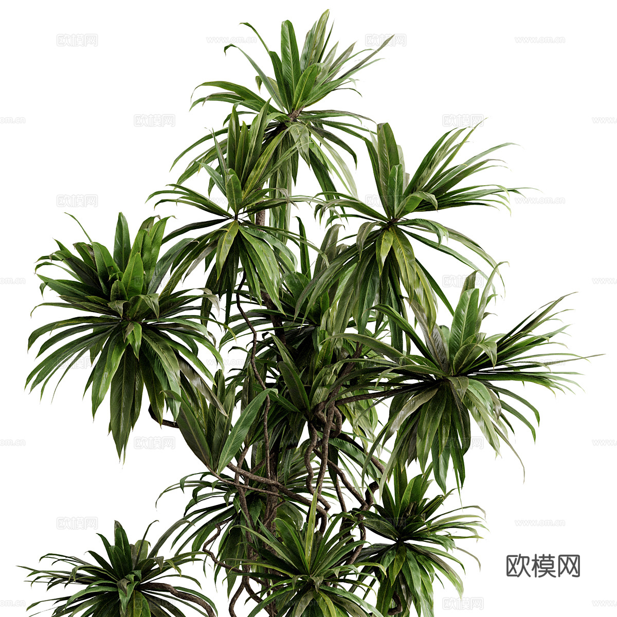 新中式侘寂绿植盆栽3d模型