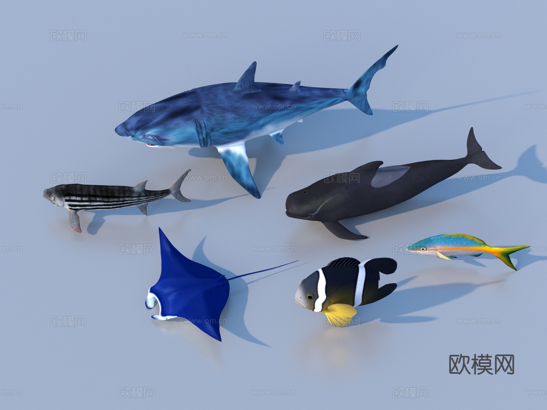 鱼 淡水鱼 海鱼 动物 游戏动物3d模型