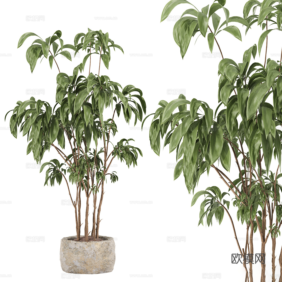 现代侘寂绿植盆栽3d模型