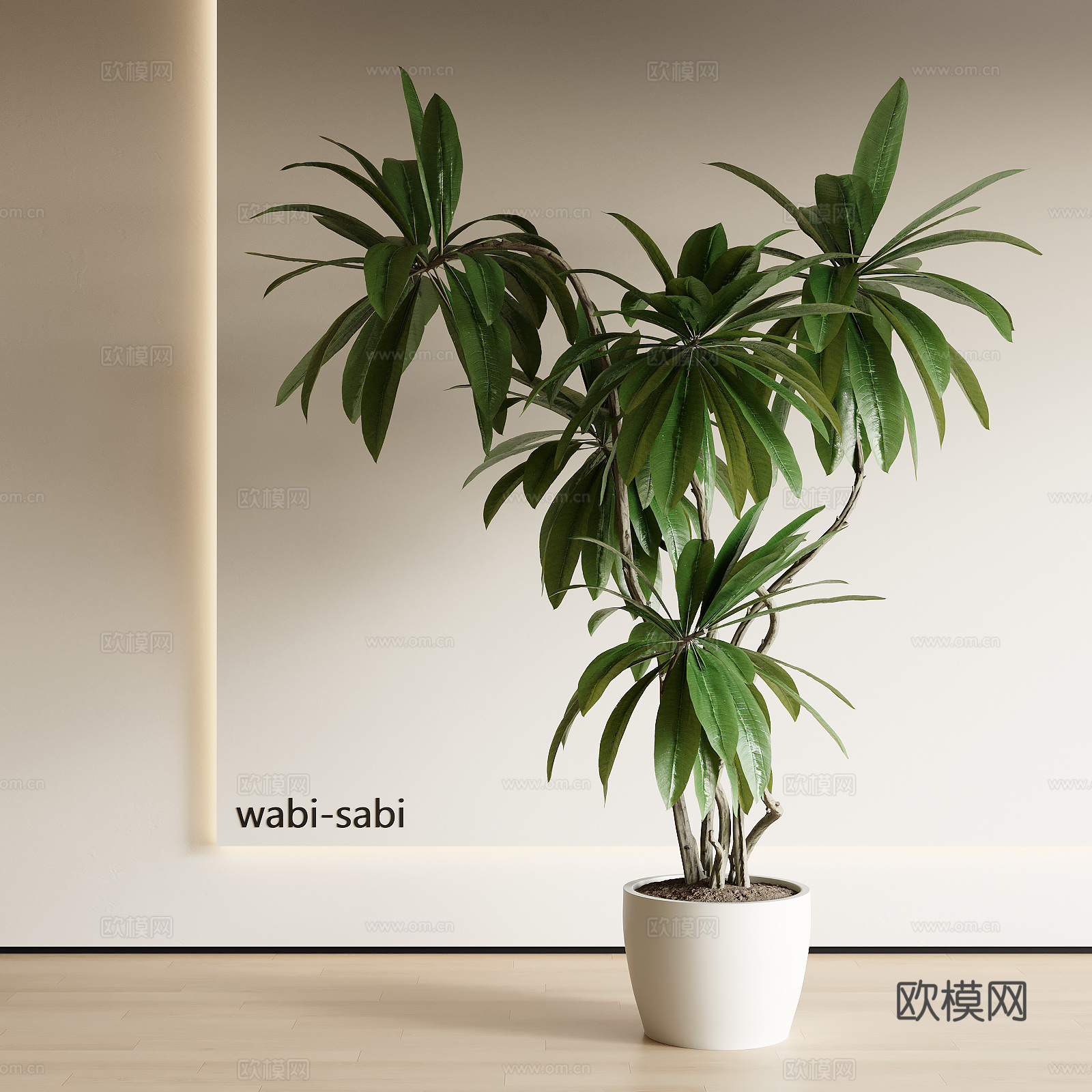 现代盆栽植物su模型