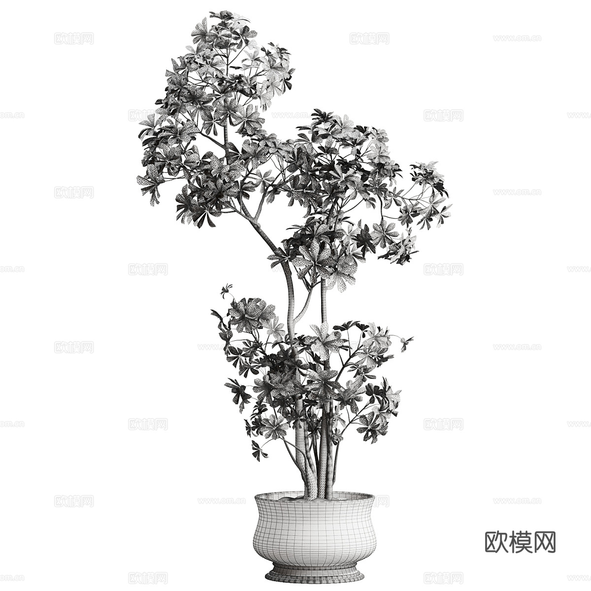 新中式侘寂绿植盆栽3d模型