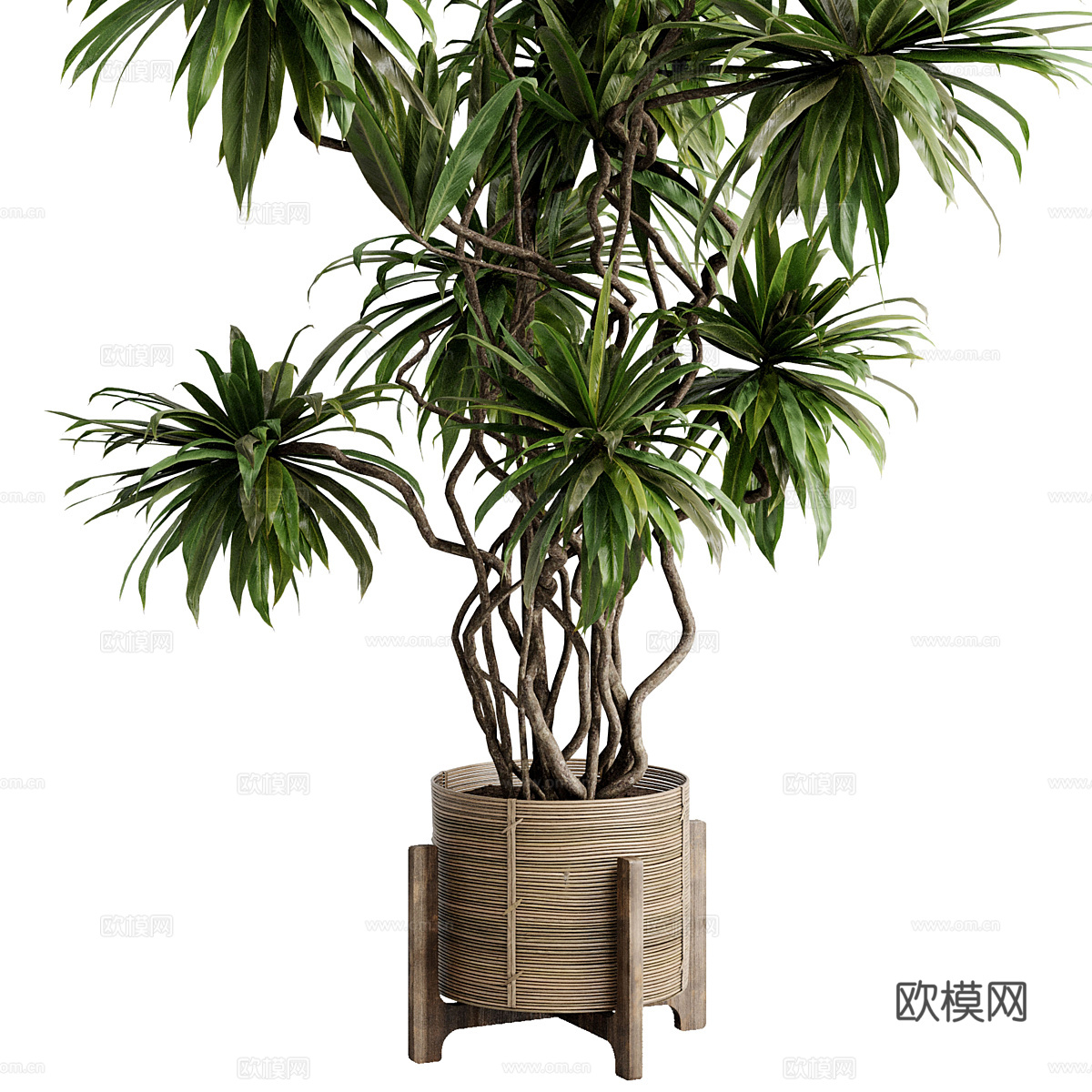 新中式侘寂绿植盆栽3d模型