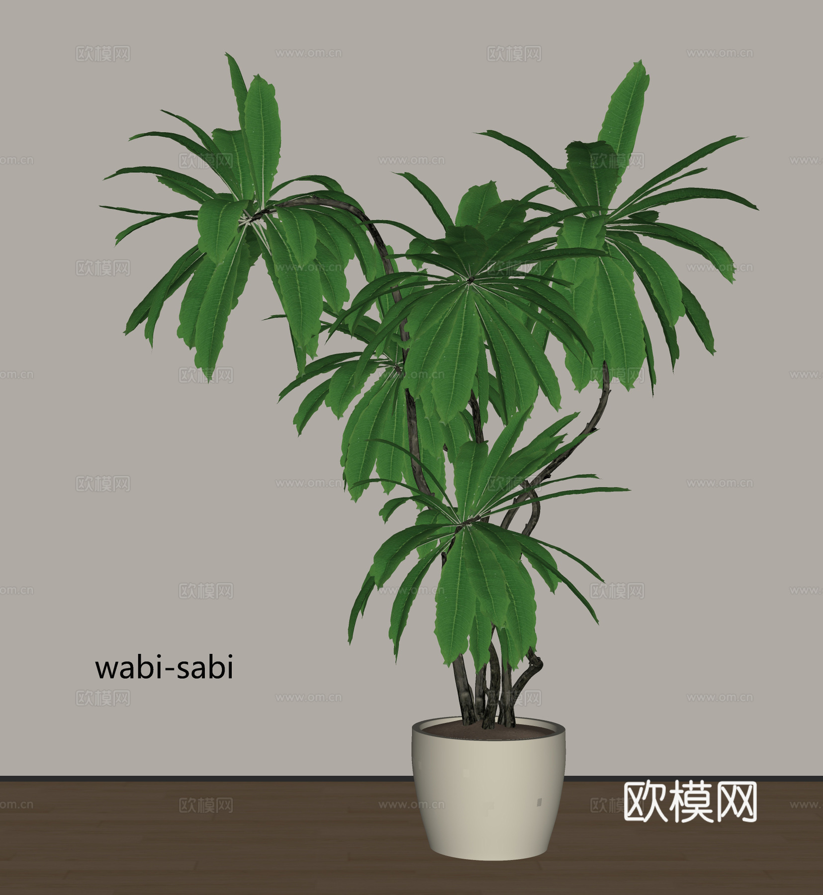 现代盆栽植物su模型