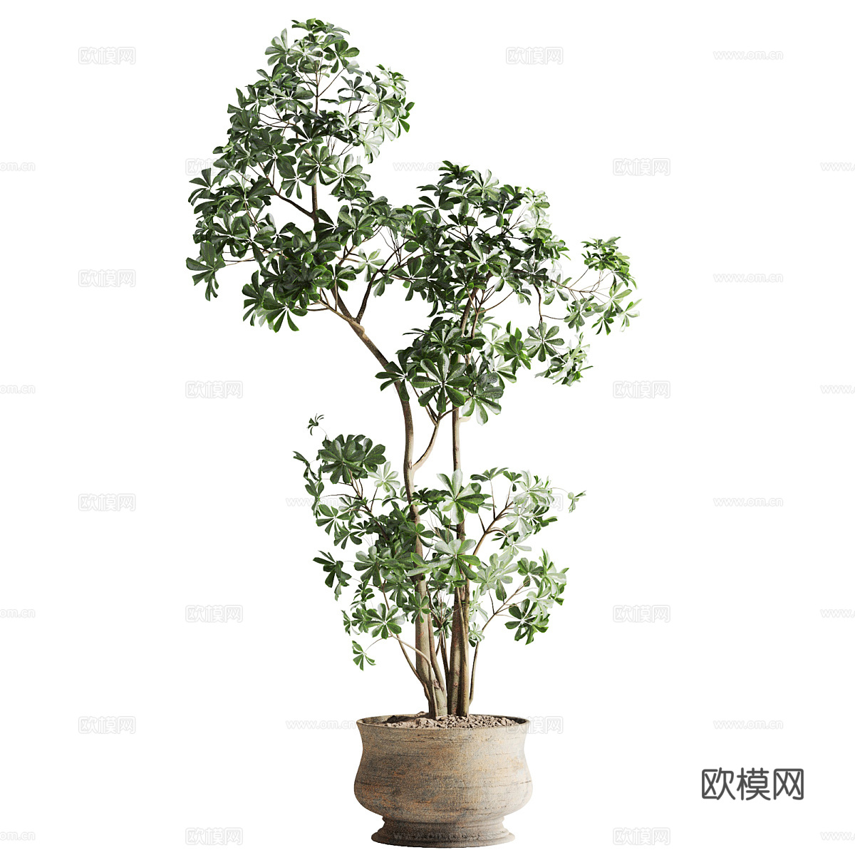 新中式侘寂绿植盆栽3d模型