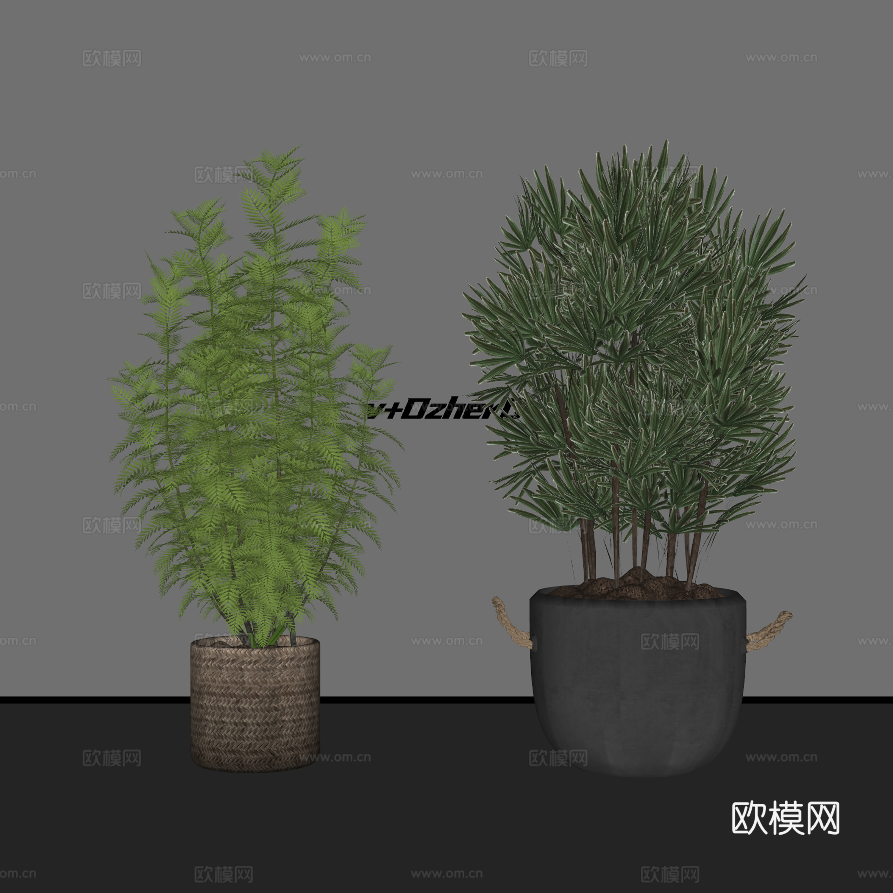 现代绿植盆栽su模型