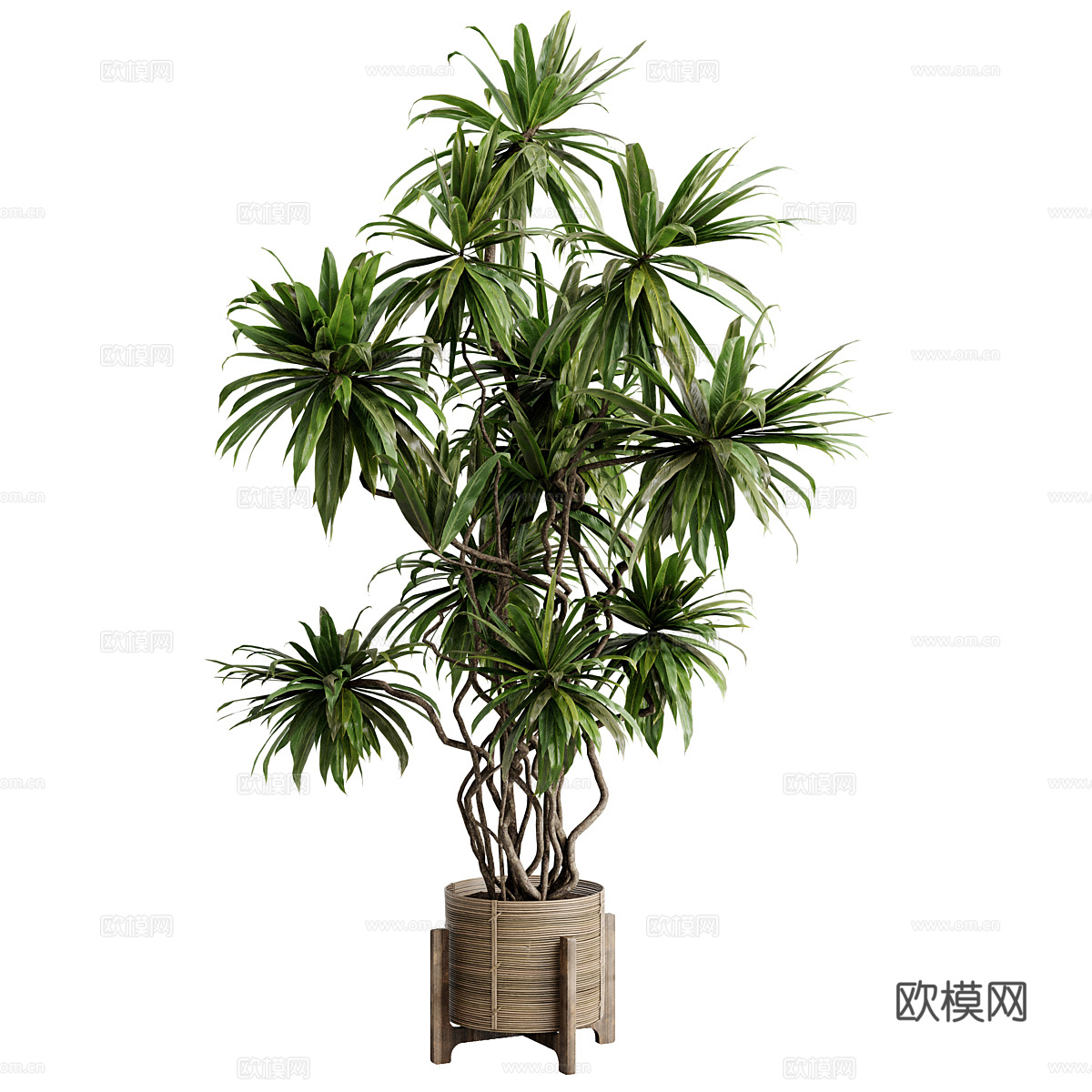 新中式侘寂绿植盆栽3d模型