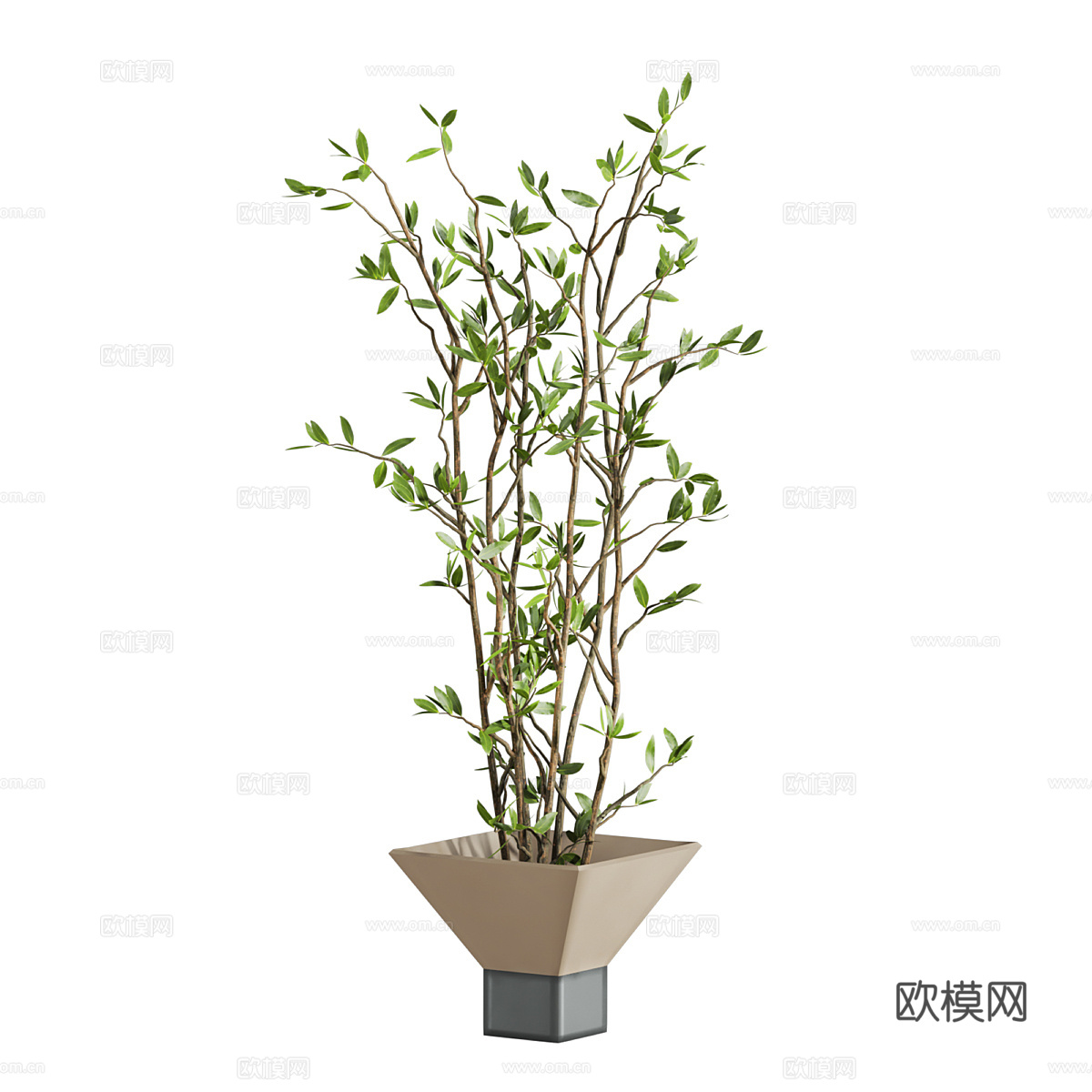 新中式绿植盆栽3d模型