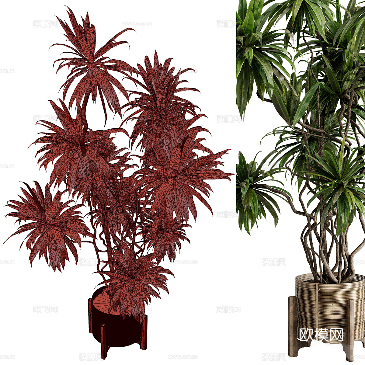 新中式侘寂绿植盆栽3d模型