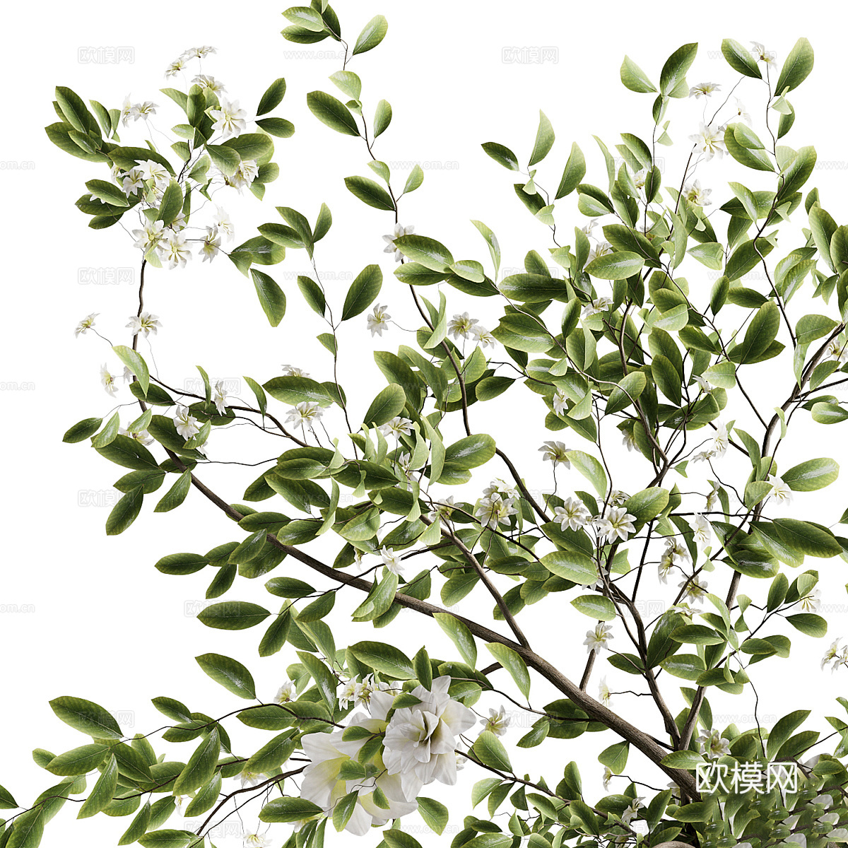 新中式花瓶花艺3d模型