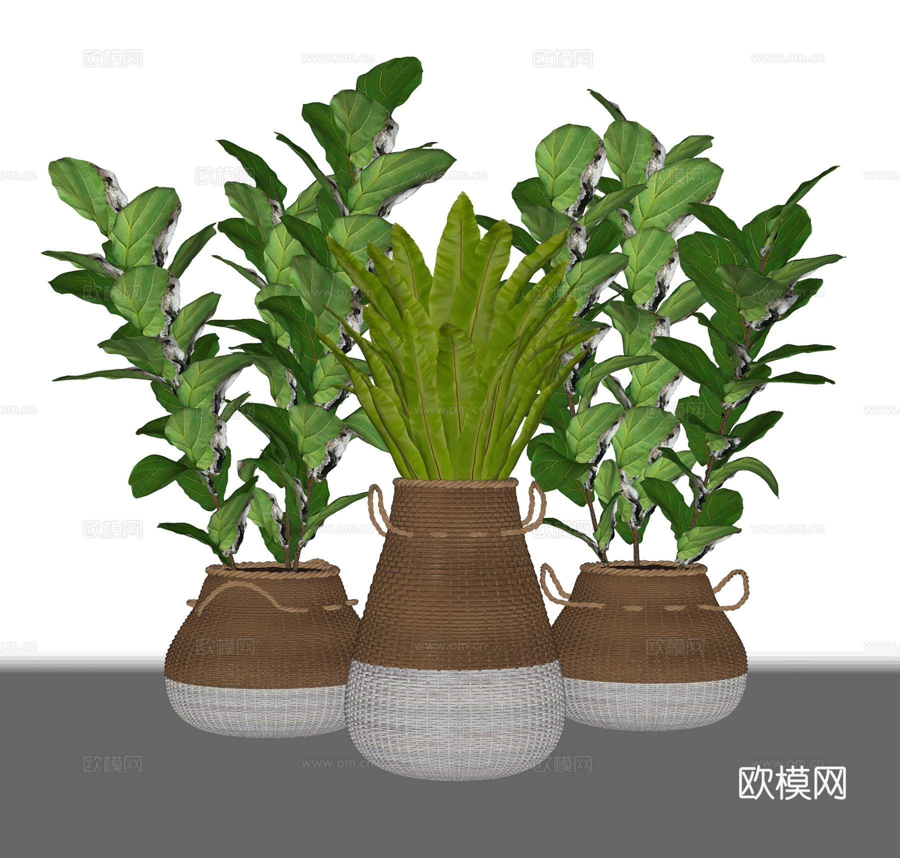 现代绿植  植物装饰组合 室内装饰花卉su模型