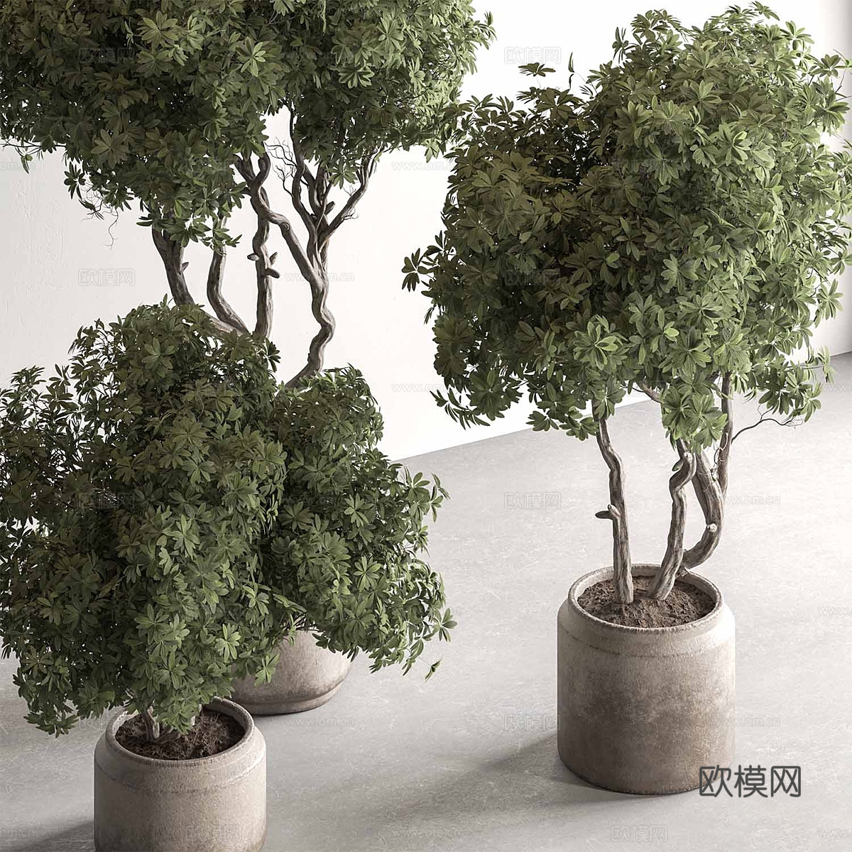 新中式绿植盆栽3d模型