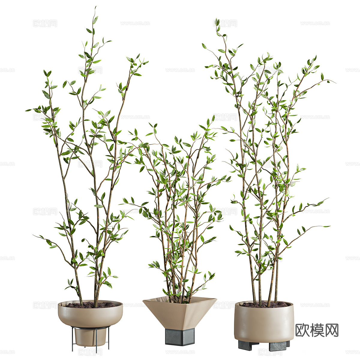 新中式绿植盆栽3d模型