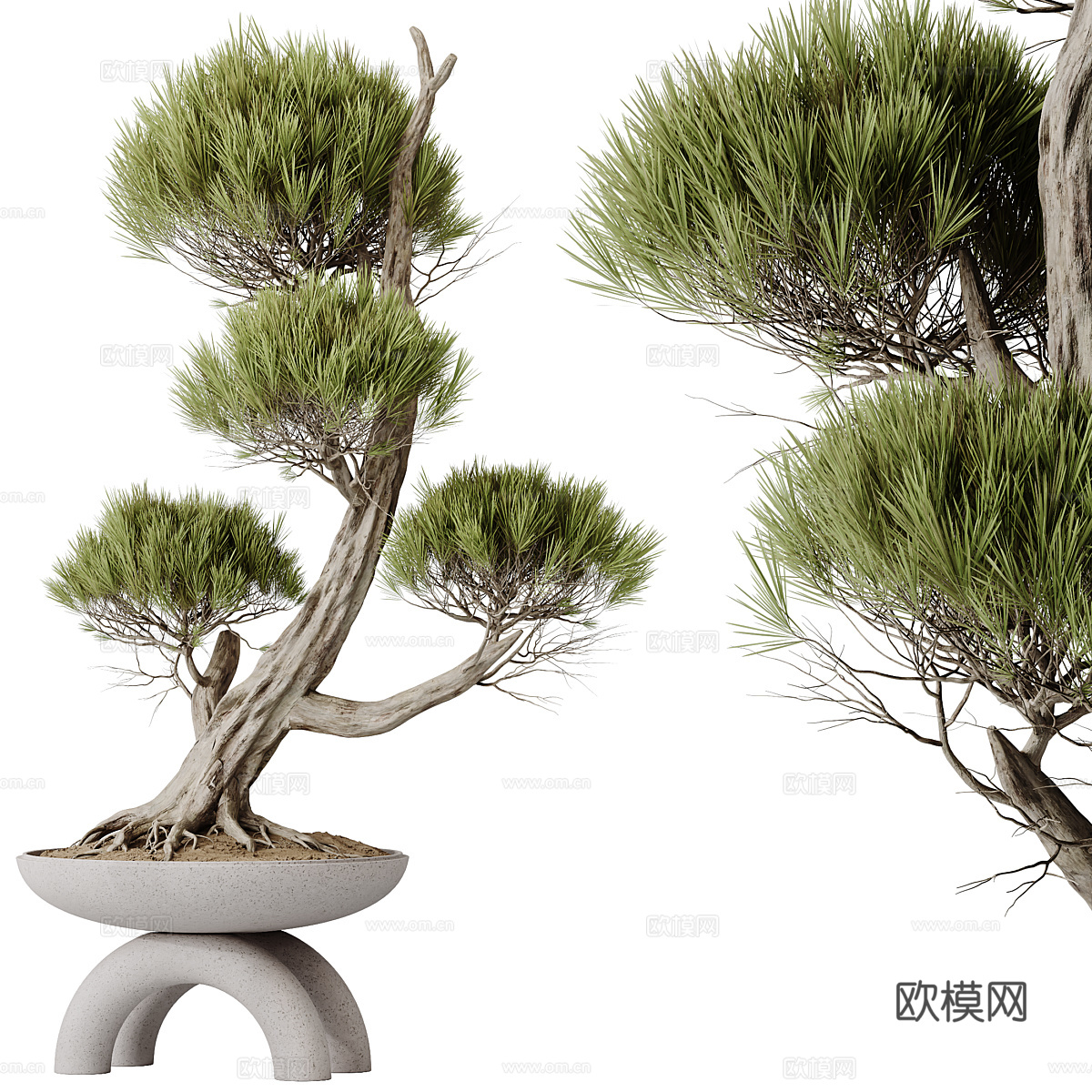 新中式绿植盆景3d模型