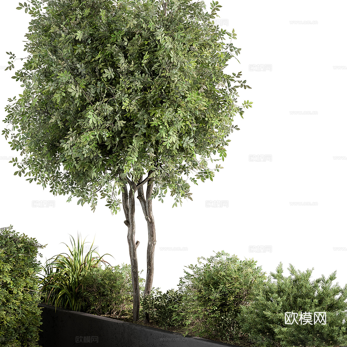 现代庭院绿植3d模型