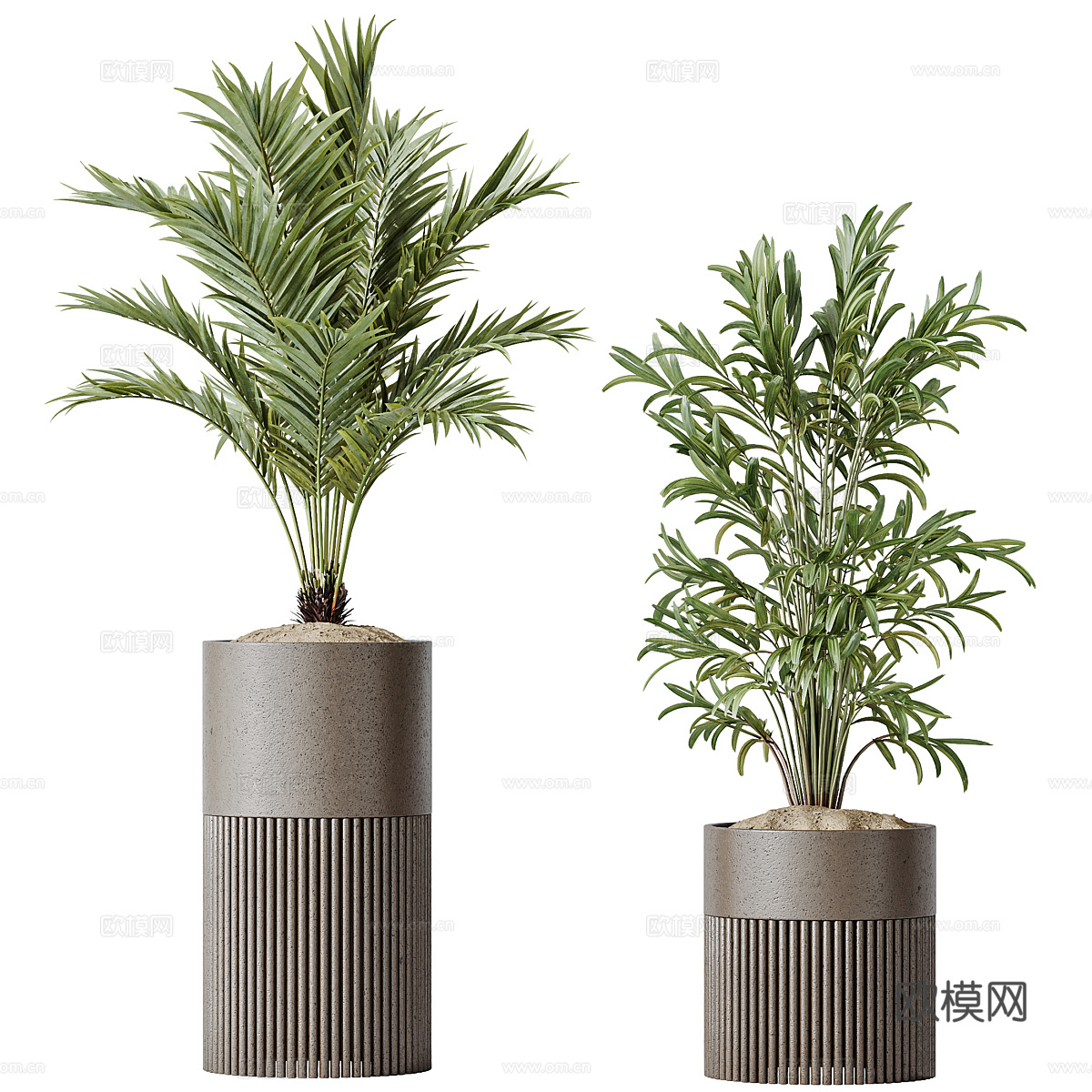新中式绿植盆栽3d模型