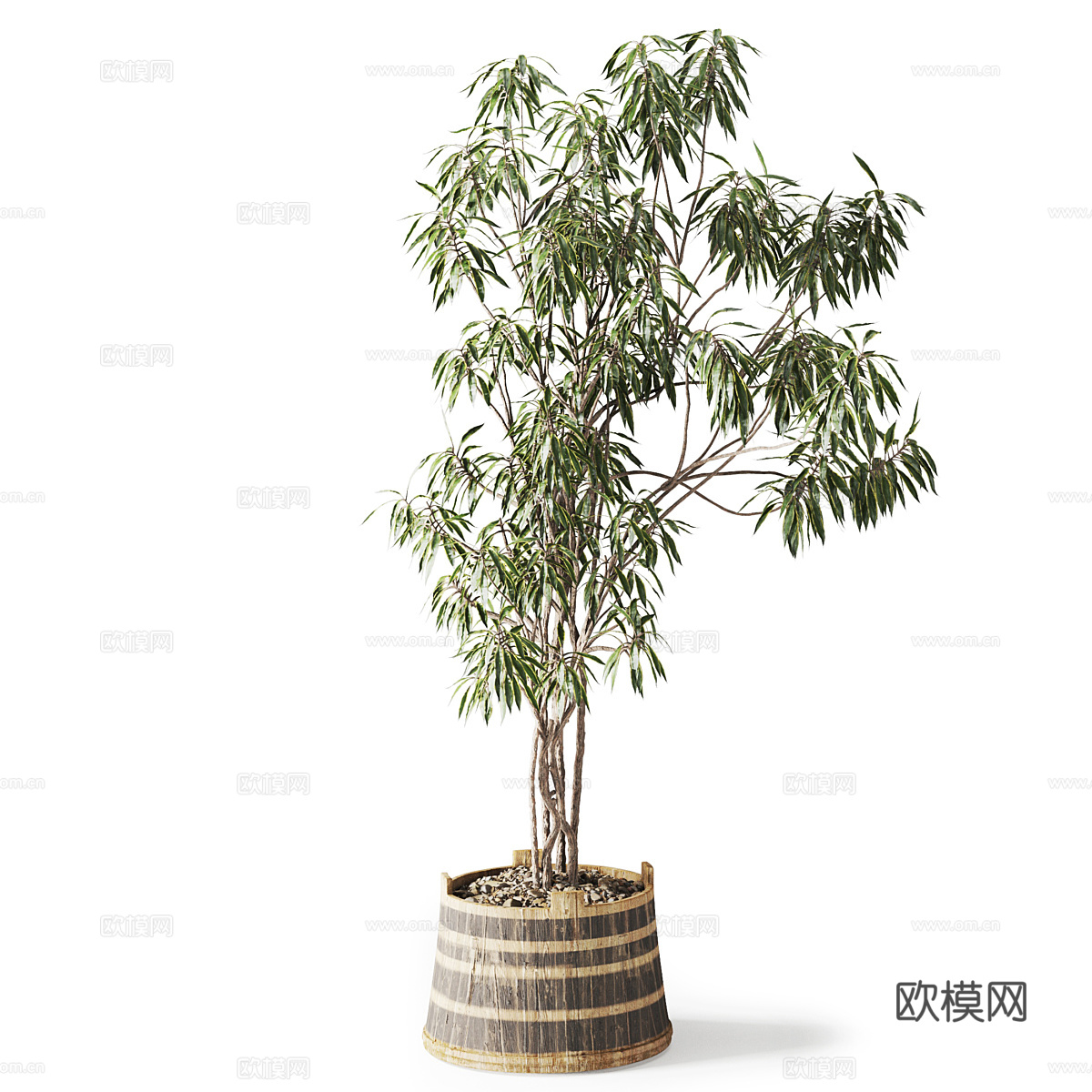 现代侘寂绿植盆栽3d模型