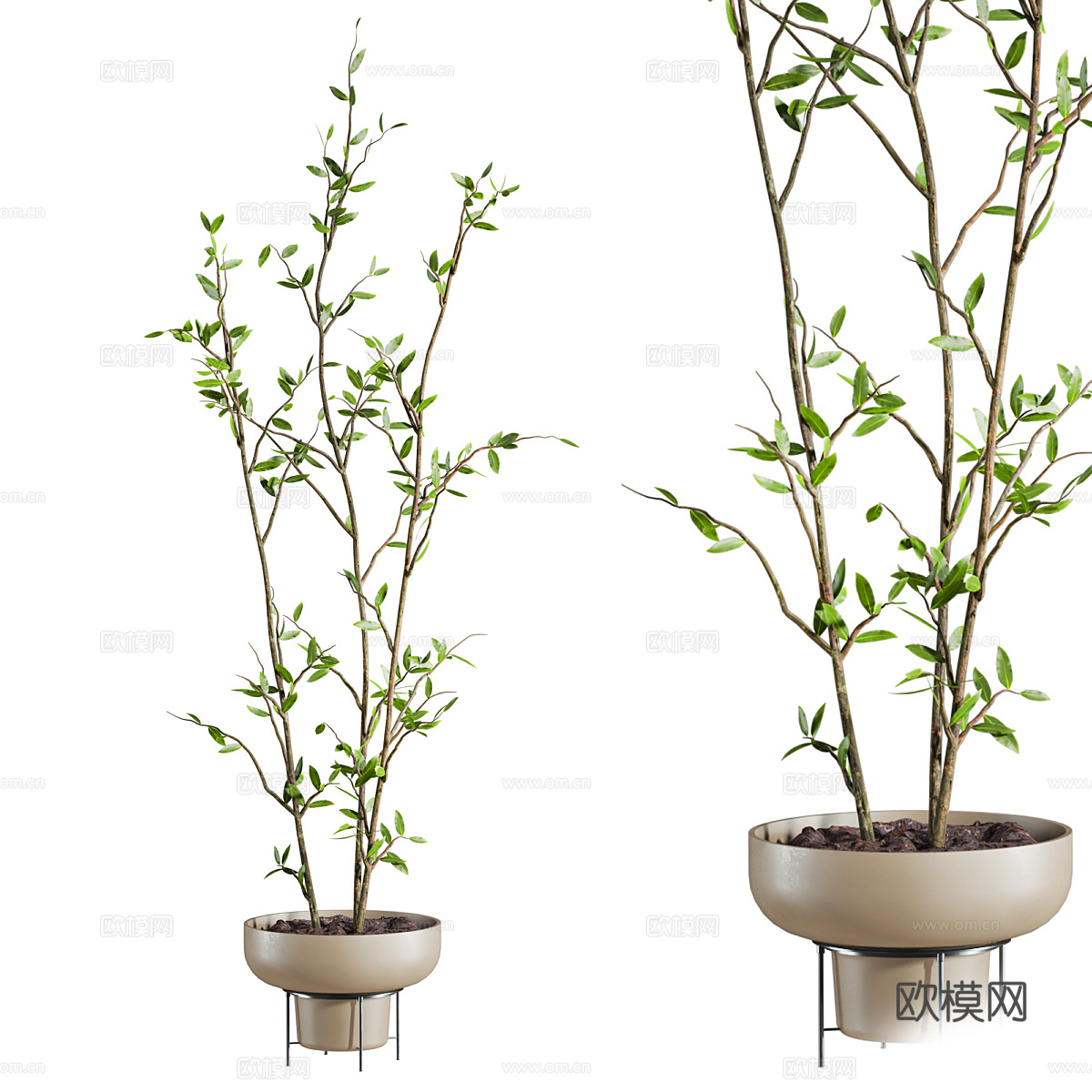 新中式绿植盆栽3d模型