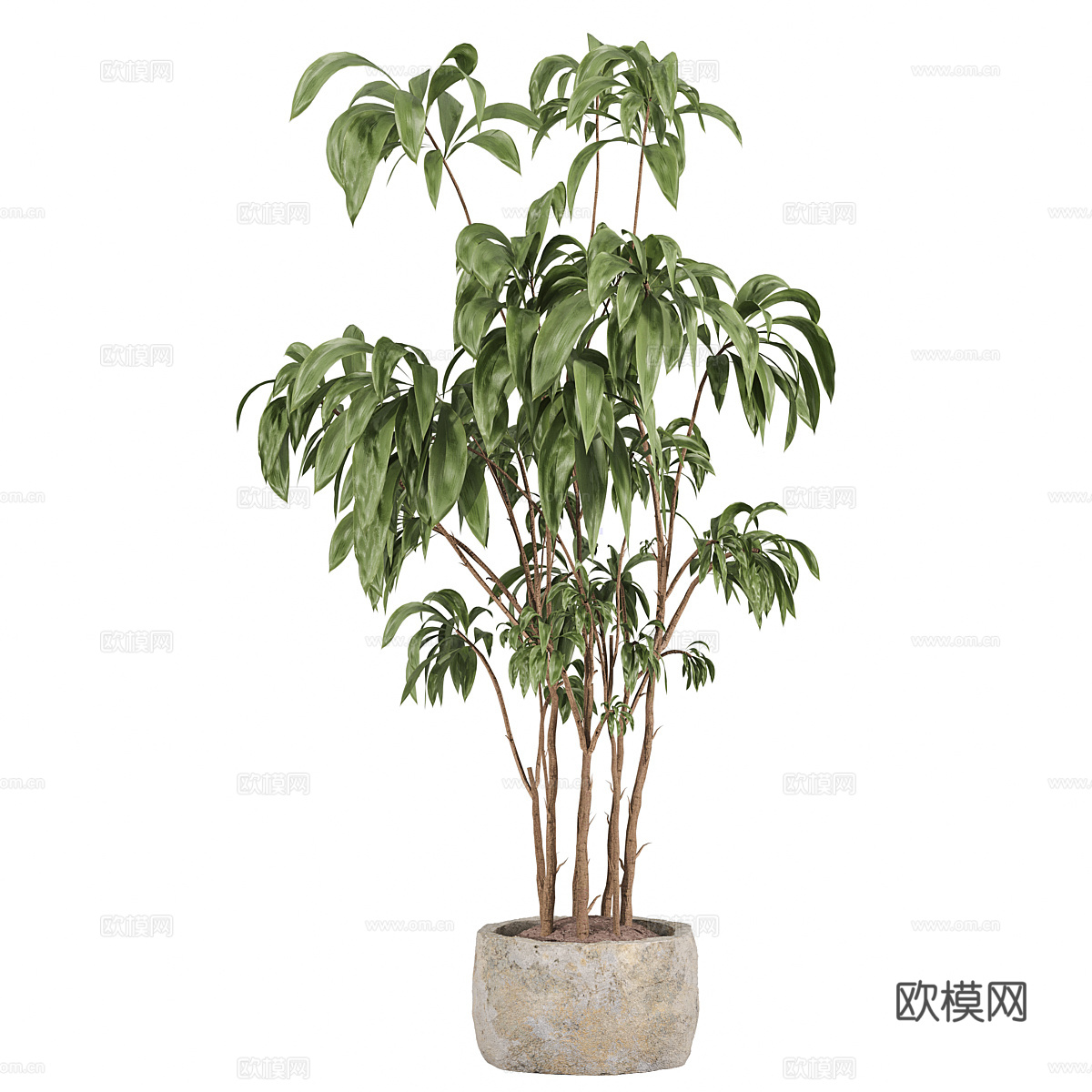 现代侘寂绿植盆栽3d模型
