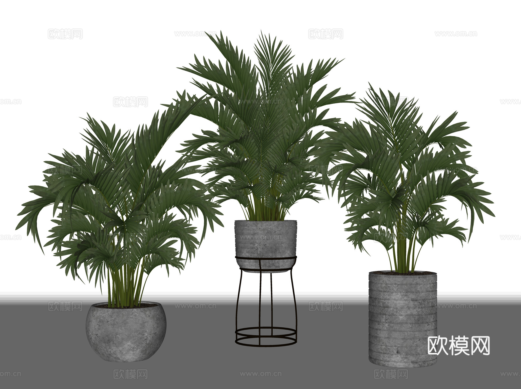 现代植物花草  绿植盆栽    室内绿植su模型