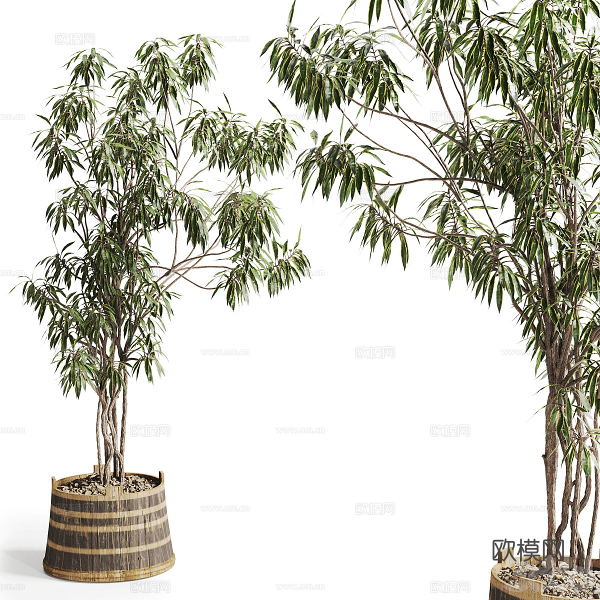 现代侘寂绿植盆栽3d模型