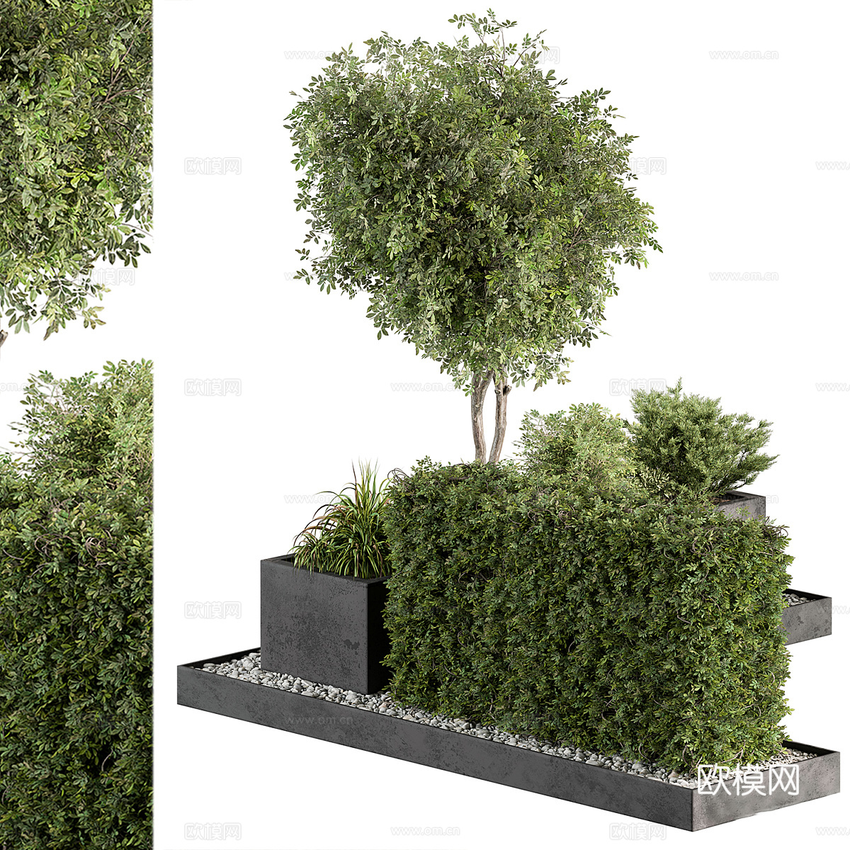 现代庭院绿植3d模型