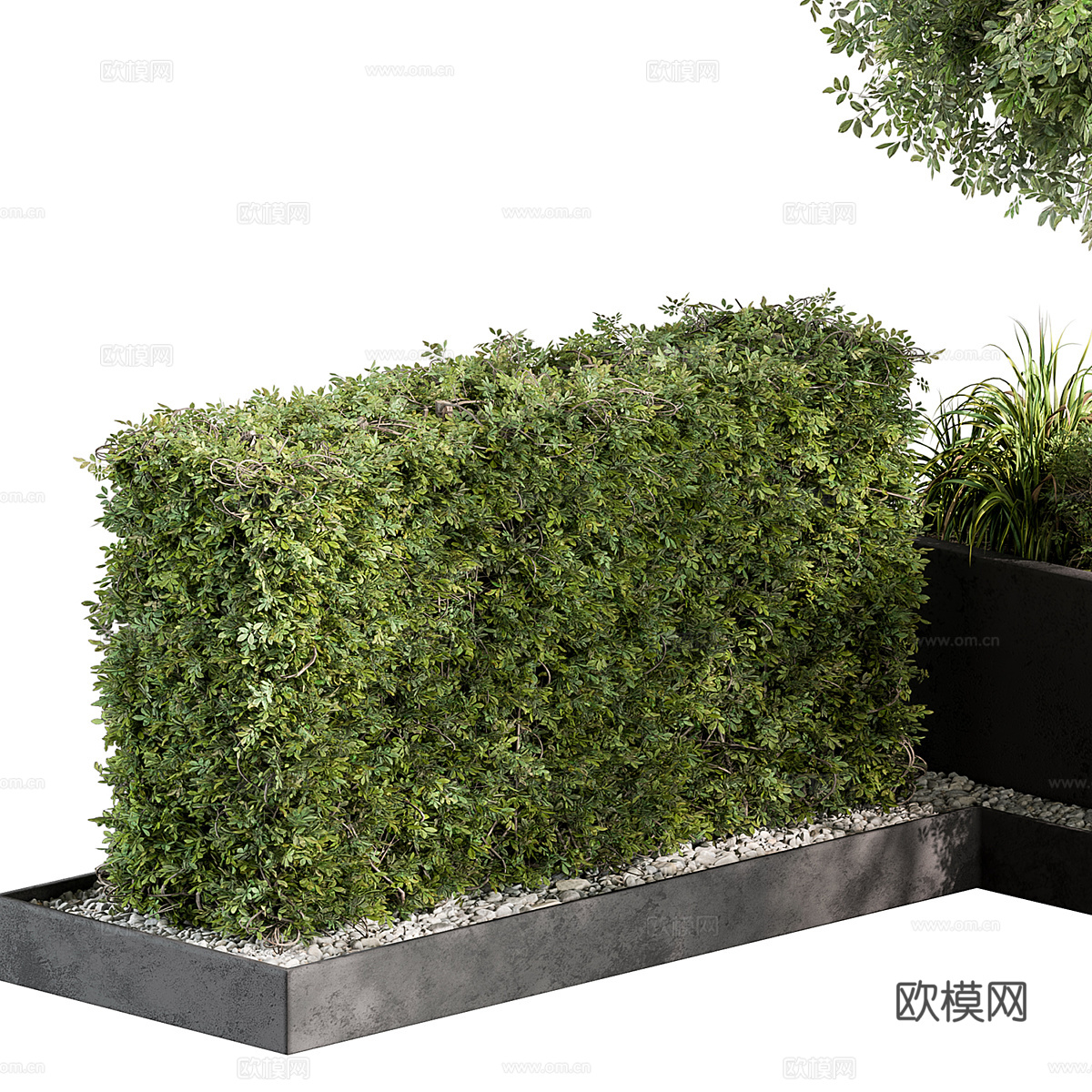 现代庭院绿植3d模型