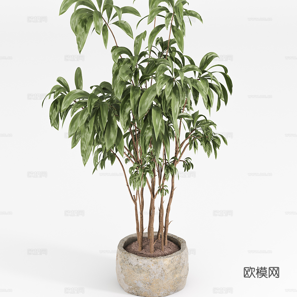现代侘寂绿植盆栽3d模型