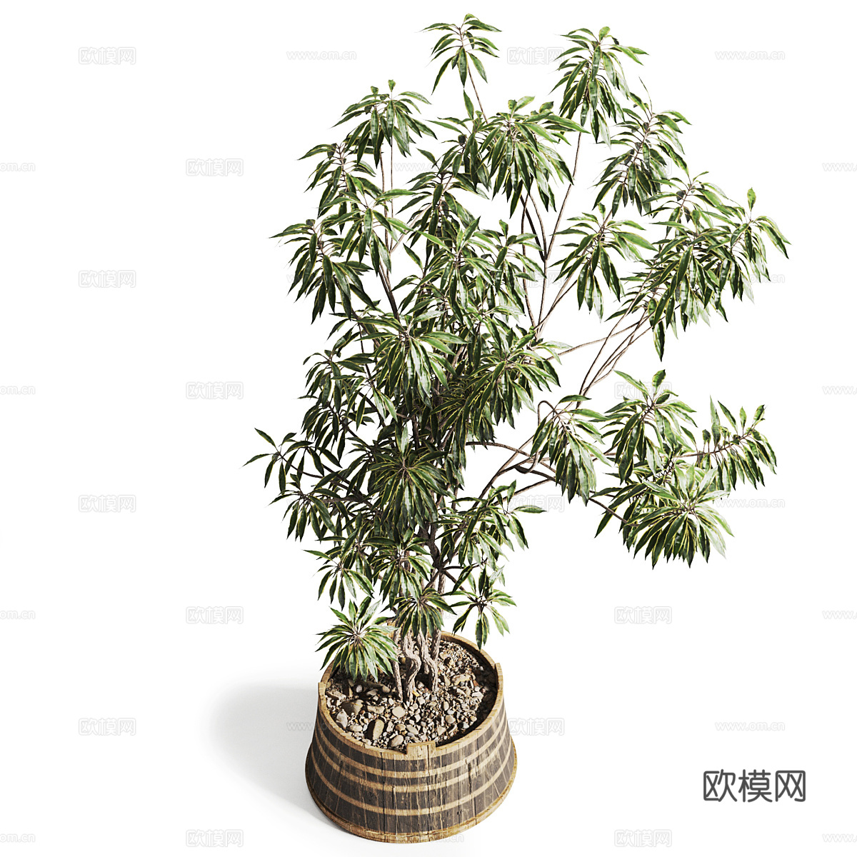 现代侘寂绿植盆栽3d模型