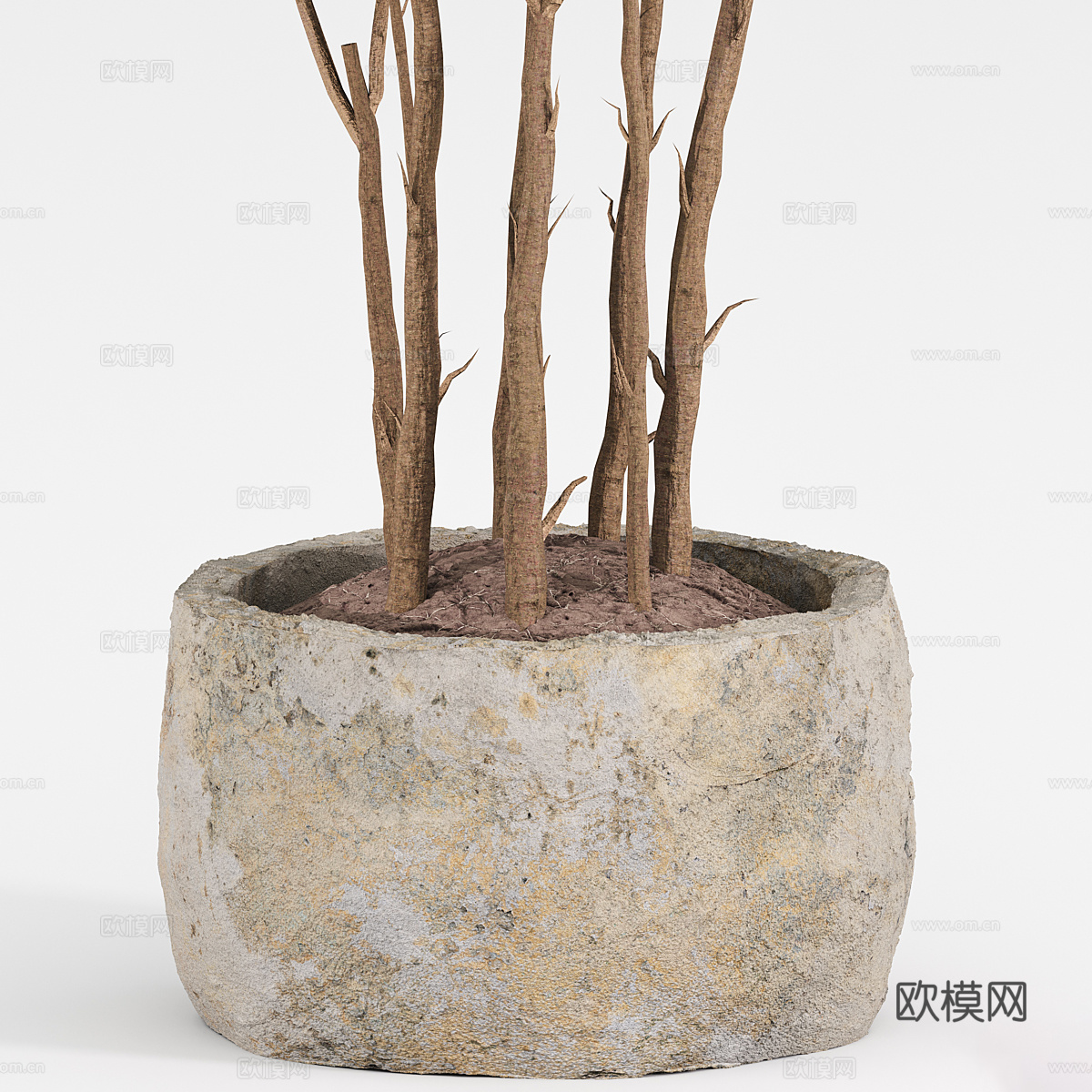 现代侘寂绿植盆栽3d模型