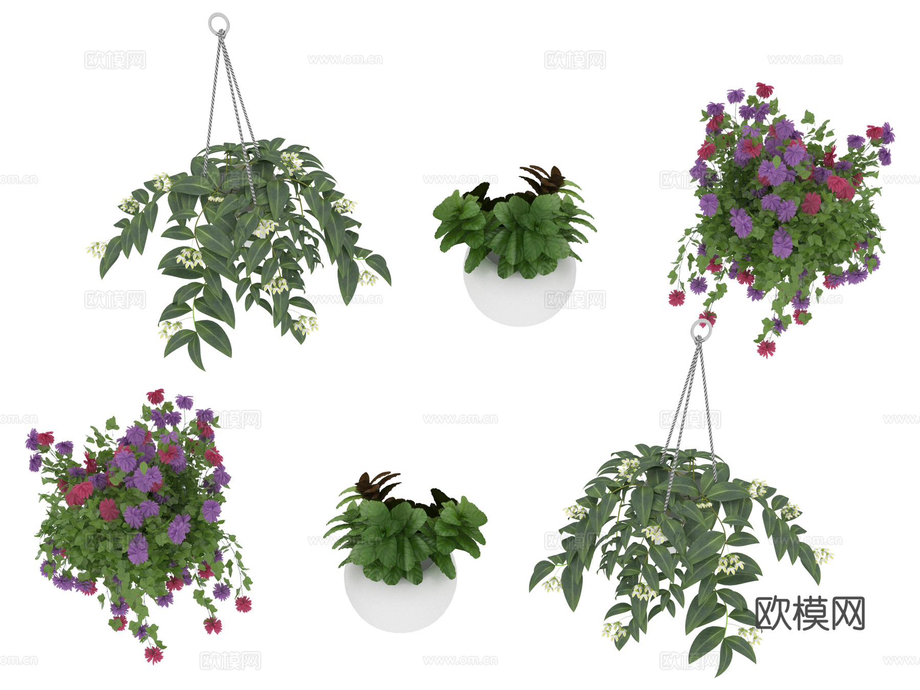绿色植物 盆栽3d模型