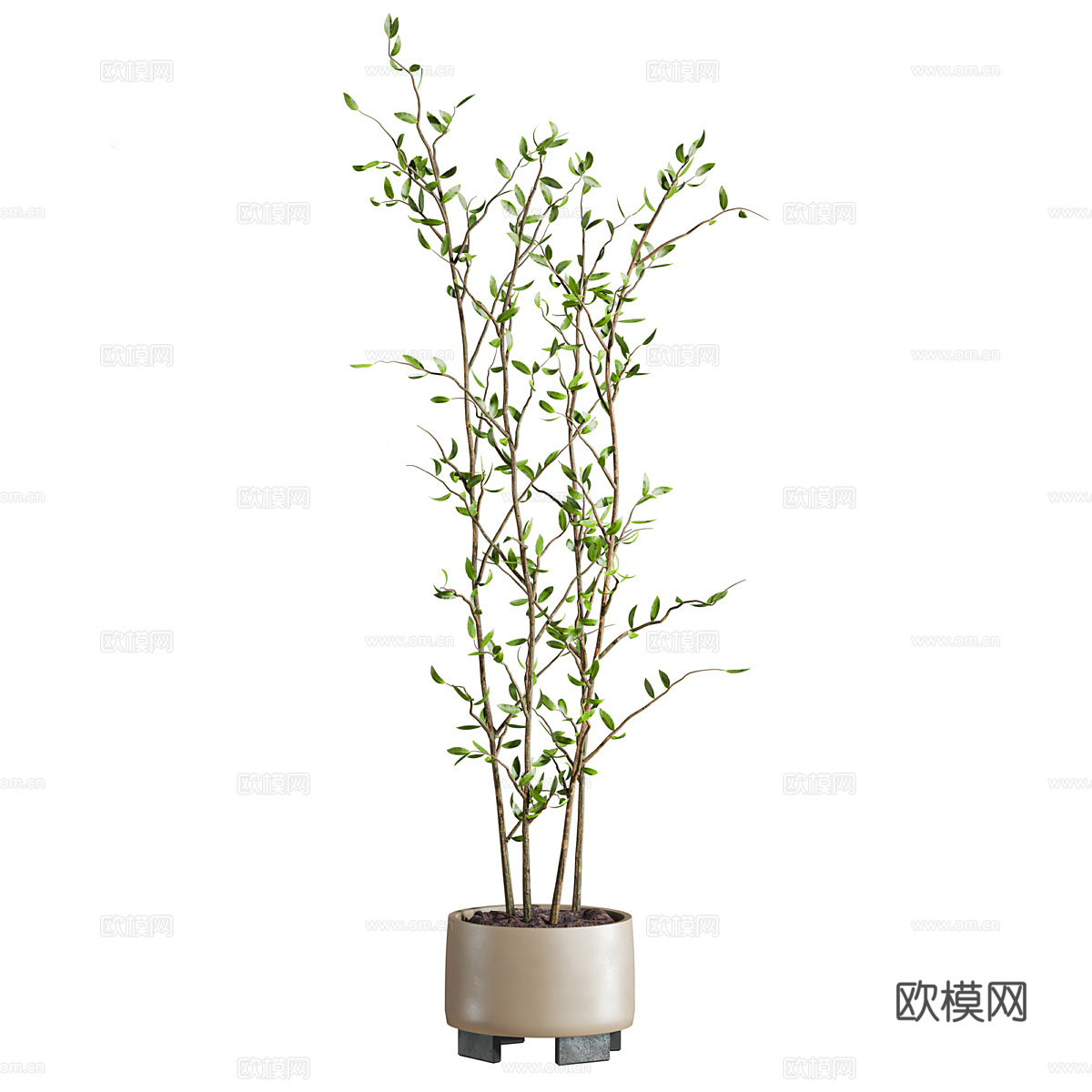 新中式绿植盆栽3d模型